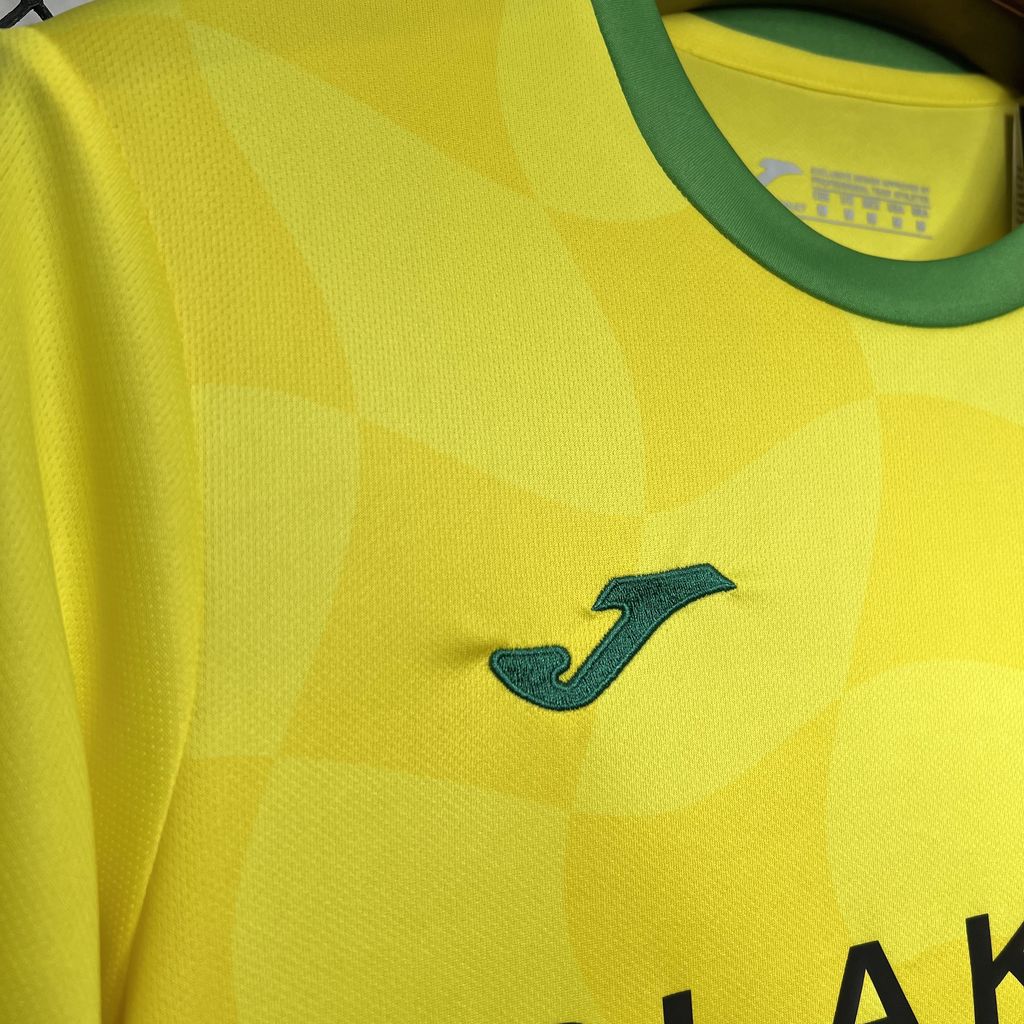 Higojerseys-Norwich City 24-25 Home Stadium Jersey - Fans Version