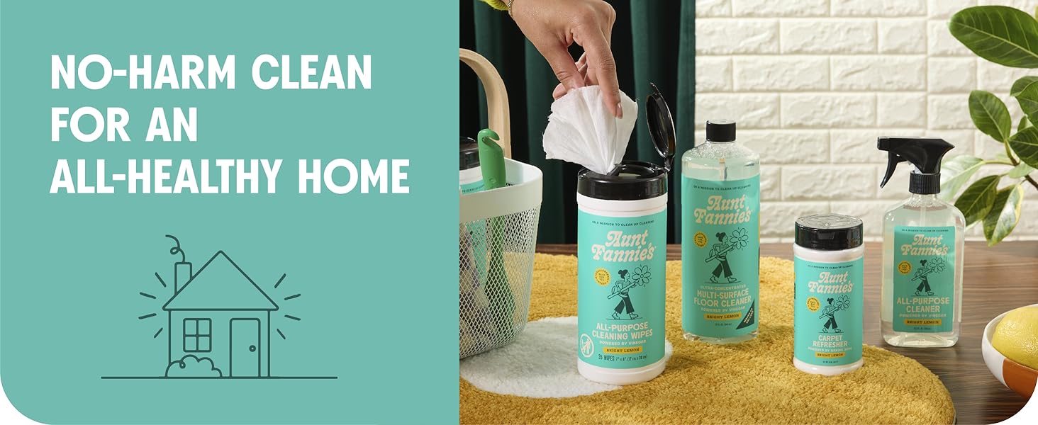 allpurpose natural cleaning solution o floor mops