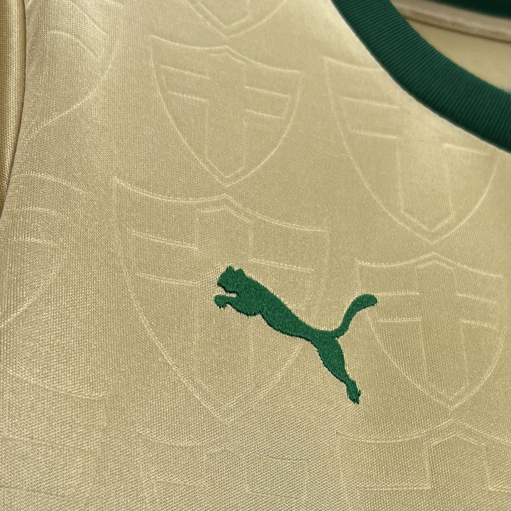 JerseysGala.com | Women's Palmeiras 24-25 Third Jersey -Customize Name, Number and Patch | Worldwide Shipping