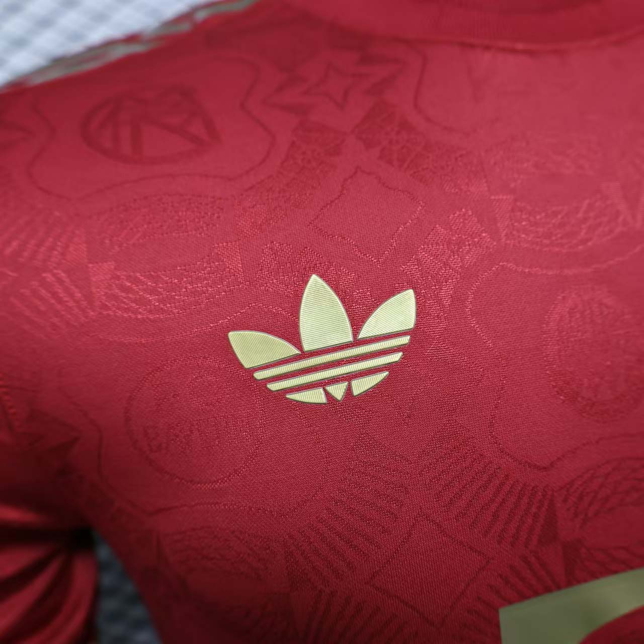 2024/2025 Player Version Bayern Munich 125th Anniversary Edition Football Shirt 1:1 Thai Quality:football jersey mysite: unitedjerseyfootball 邓江浪:football