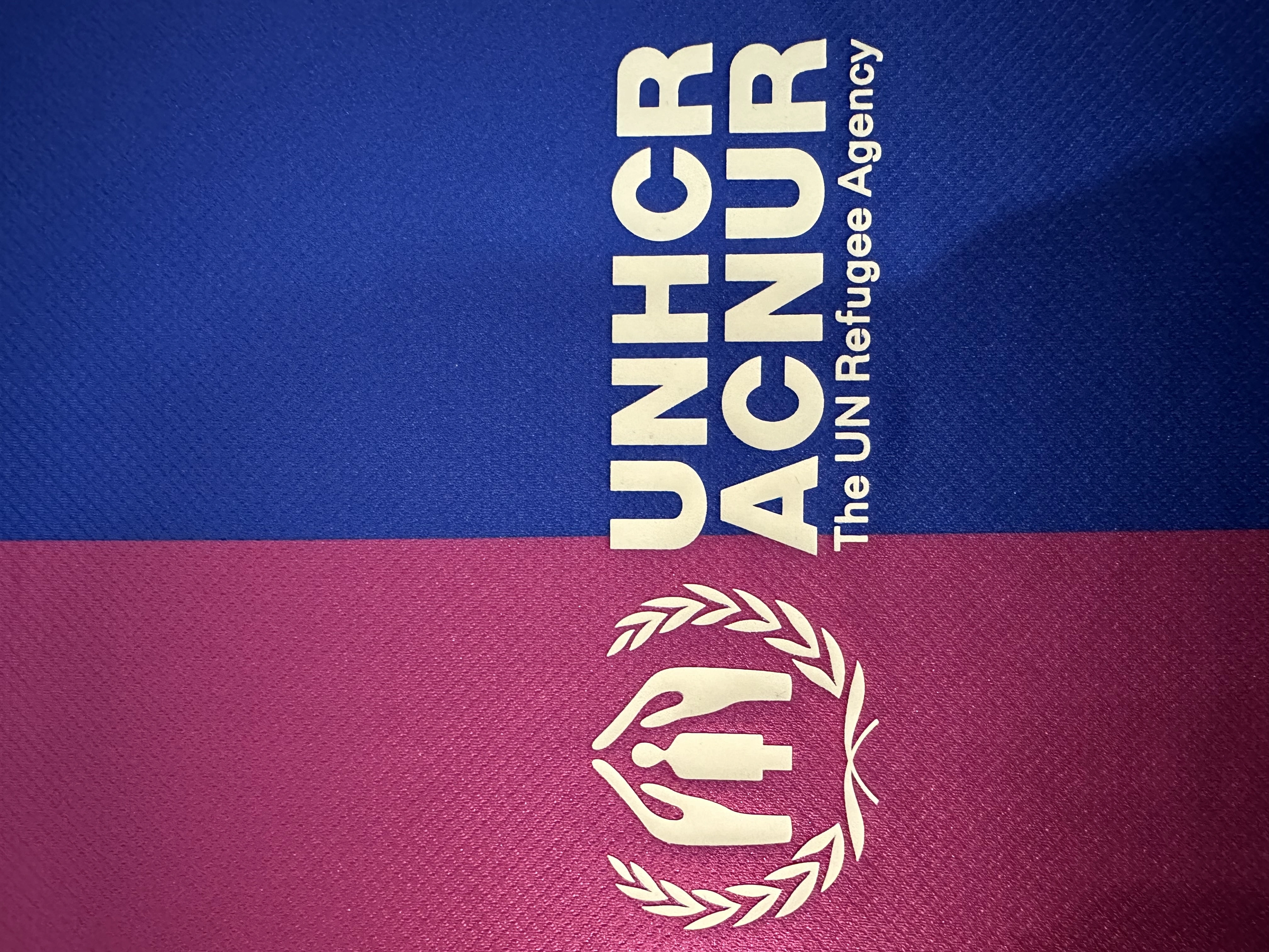 2024/2025 Barcelona Home Special Edition Football Shirt 1:1 Thai Quality:football jersey mysite: unitedjerseyfootball 邓江浪:football