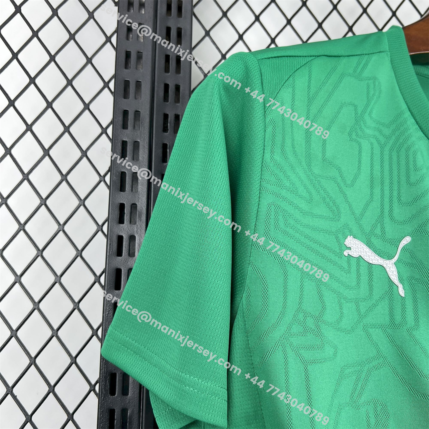 ManixJersey.com | Palmeiras 25-26 Green Training Jersey - Fans Version -Customize Name, Number and Patch | Worldwide Shipping