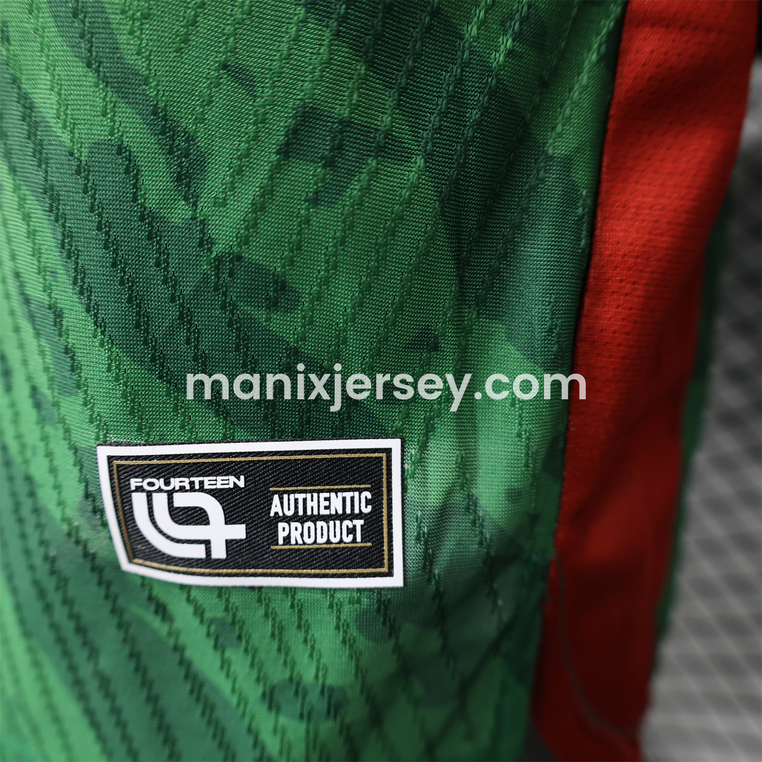 ManixJersey.com | Cameroon 25-26 Home Jersey - Player Version -Customize Name, Number and Patch | Worldwide Shipping