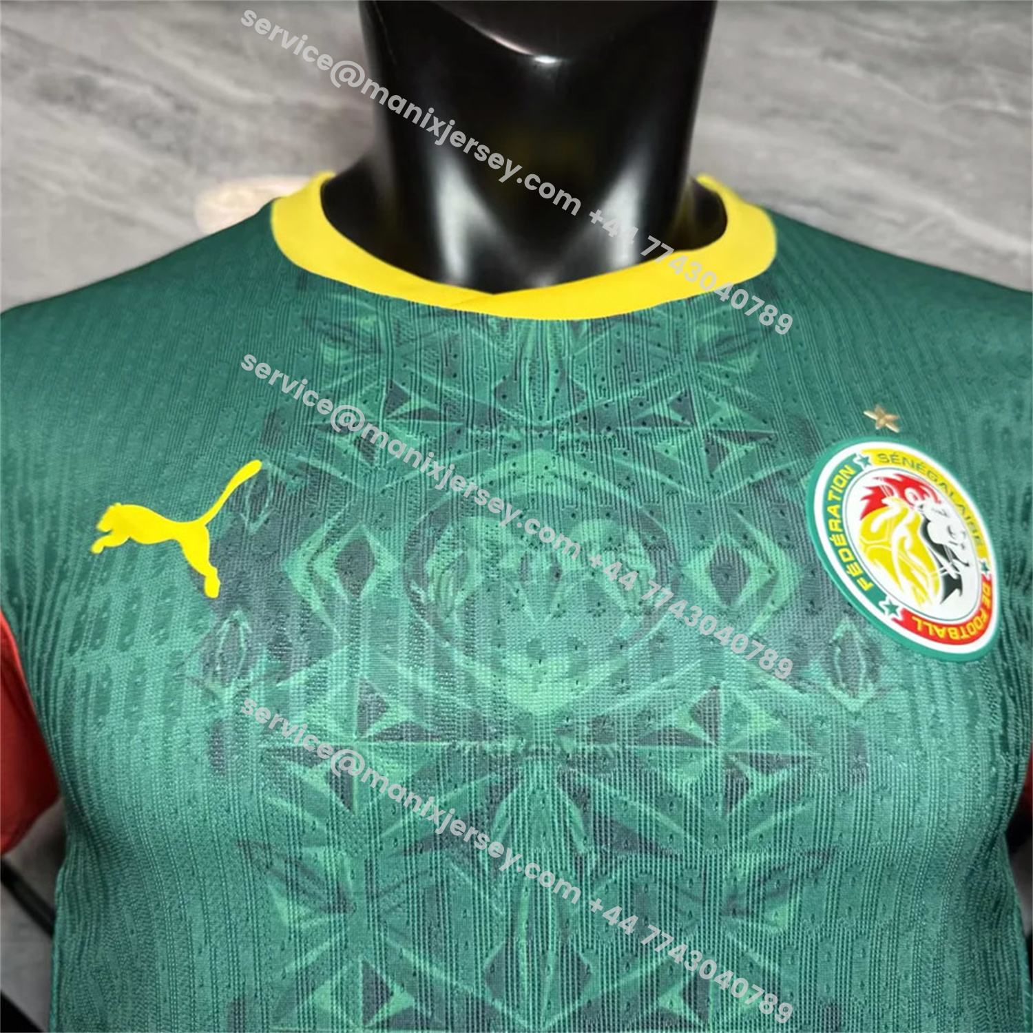 ManixJersey.com | Senegal 25-26 Away Green Jersey - Player Version -Customize Name, Number and Patch | Worldwide Shipping