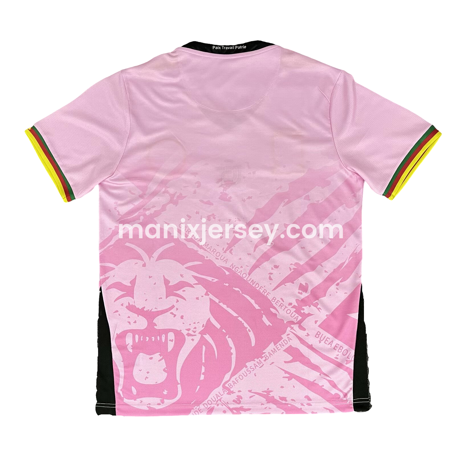 ManixJersey.com | Cameroon 25-26 Pink Training Jersey - Fans Version -Customize Name, Number and Patch | Worldwide Shipping