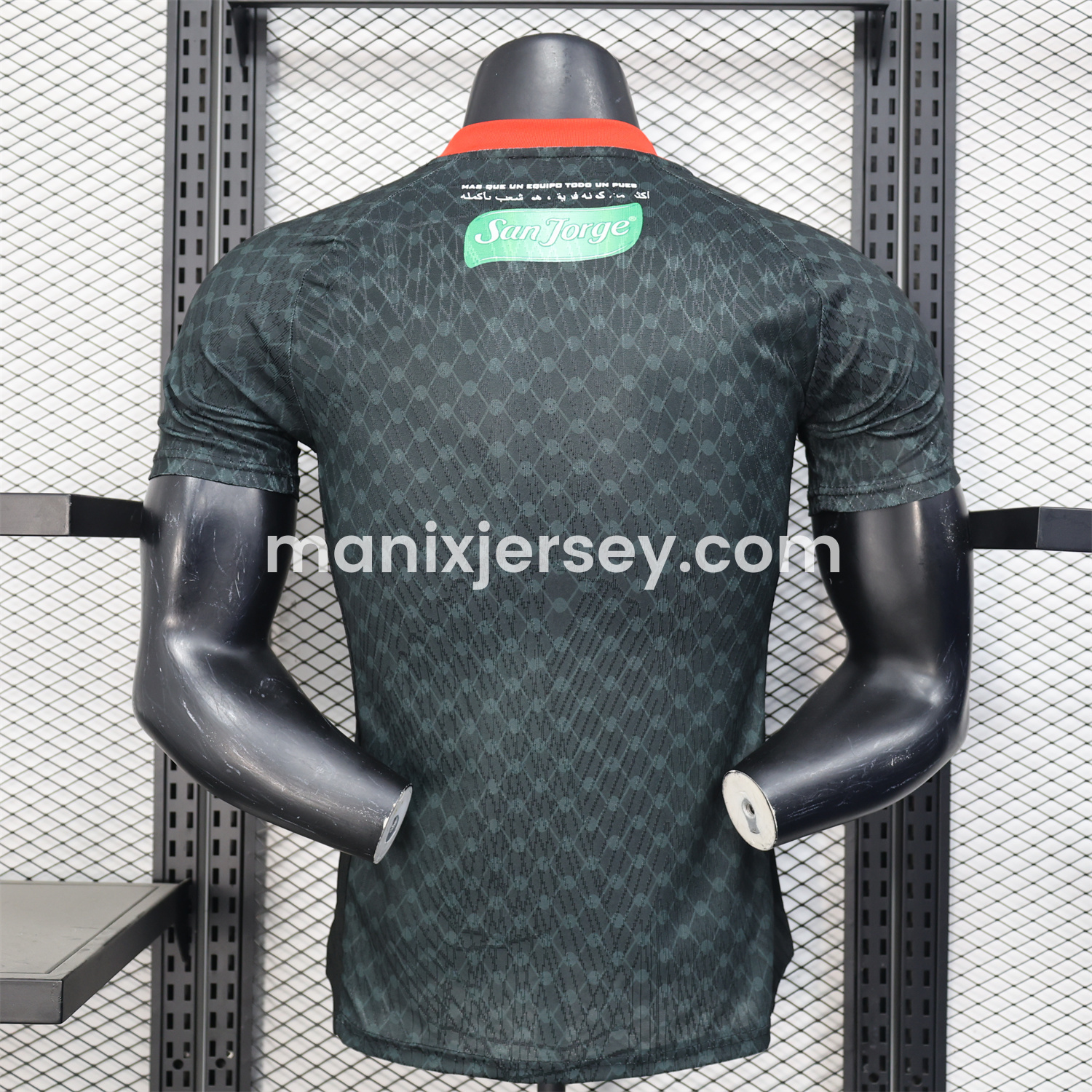 ManixJersey.com | Club Deportivo Palestino 25-26 Away Jersey - Player Version -Customize Name, Number and Patch | Worldwide Shipping