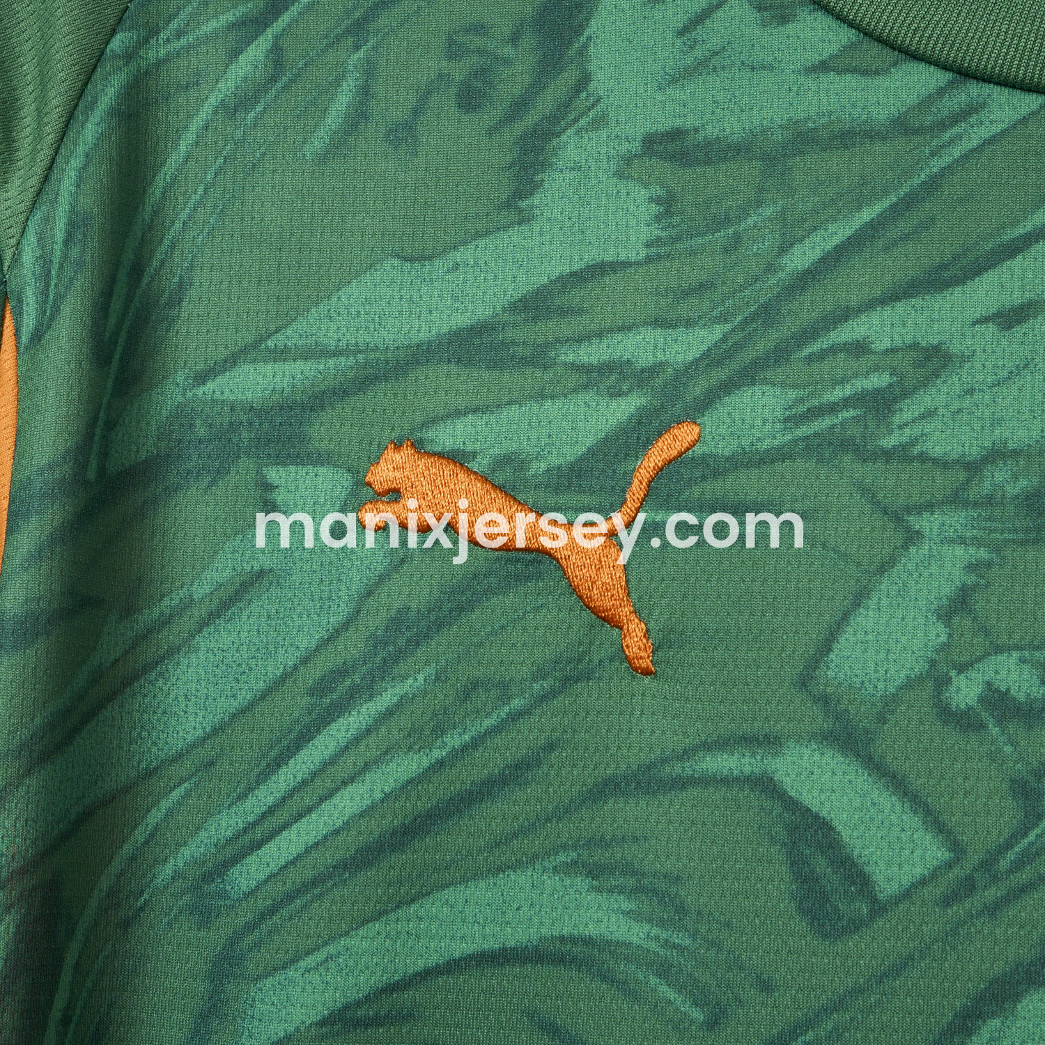 ManixJersey.com | Dortmund 25-26 Green Goalkeeper Unsponsored Jersey - Fans Version -Customize Name, Number and Patch | Worldwide Shipping