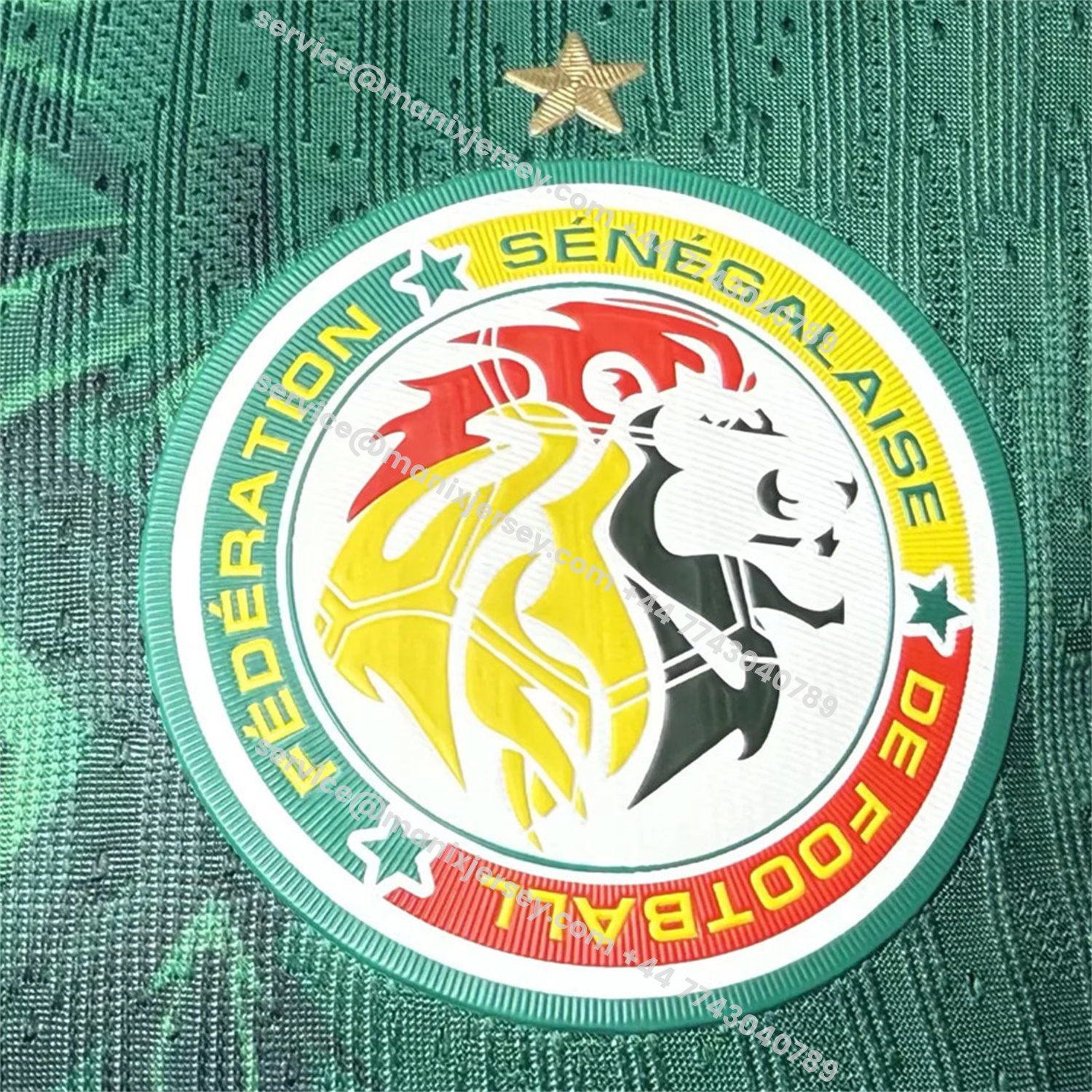 ManixJersey.com | Senegal 25-26 Away Green Jersey - Player Version -Customize Name, Number and Patch | Worldwide Shipping