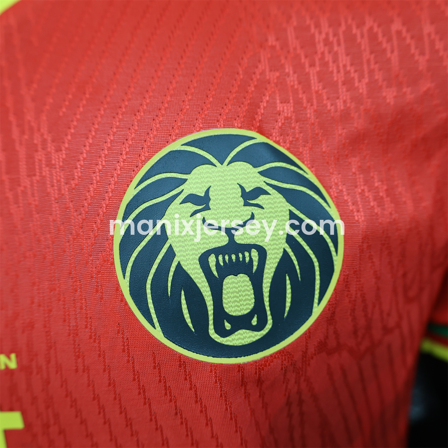 ManixJersey.com | Cameroon 25-26 Away Jersey - Player Version -Customize Name, Number and Patch | Worldwide Shipping