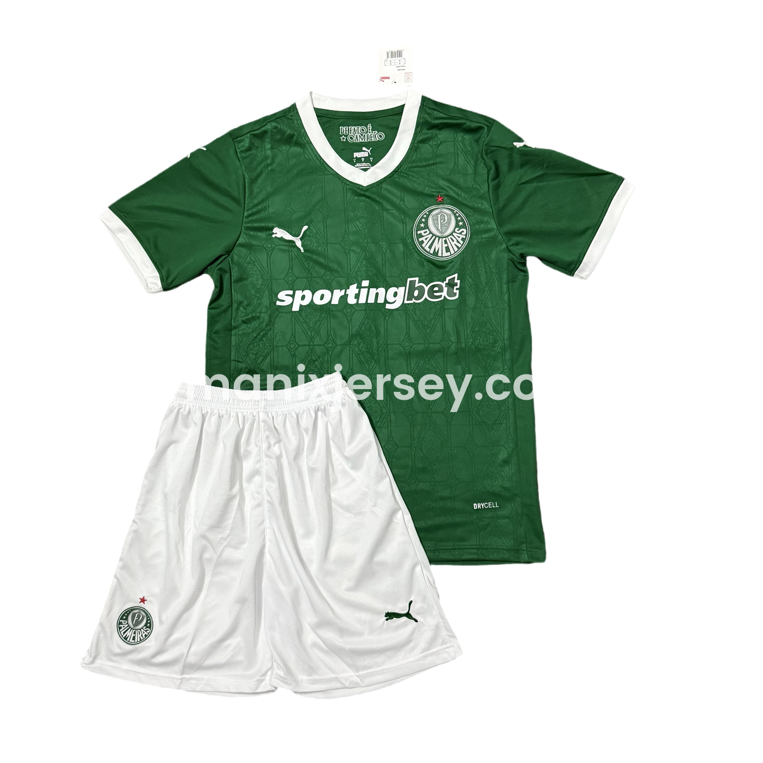 ManixJersey.com | Palmeiras 25-26 Home Men's Adult Jersey Set - Fans Version -Customize Name, Number and Patch | Worldwide Shipping