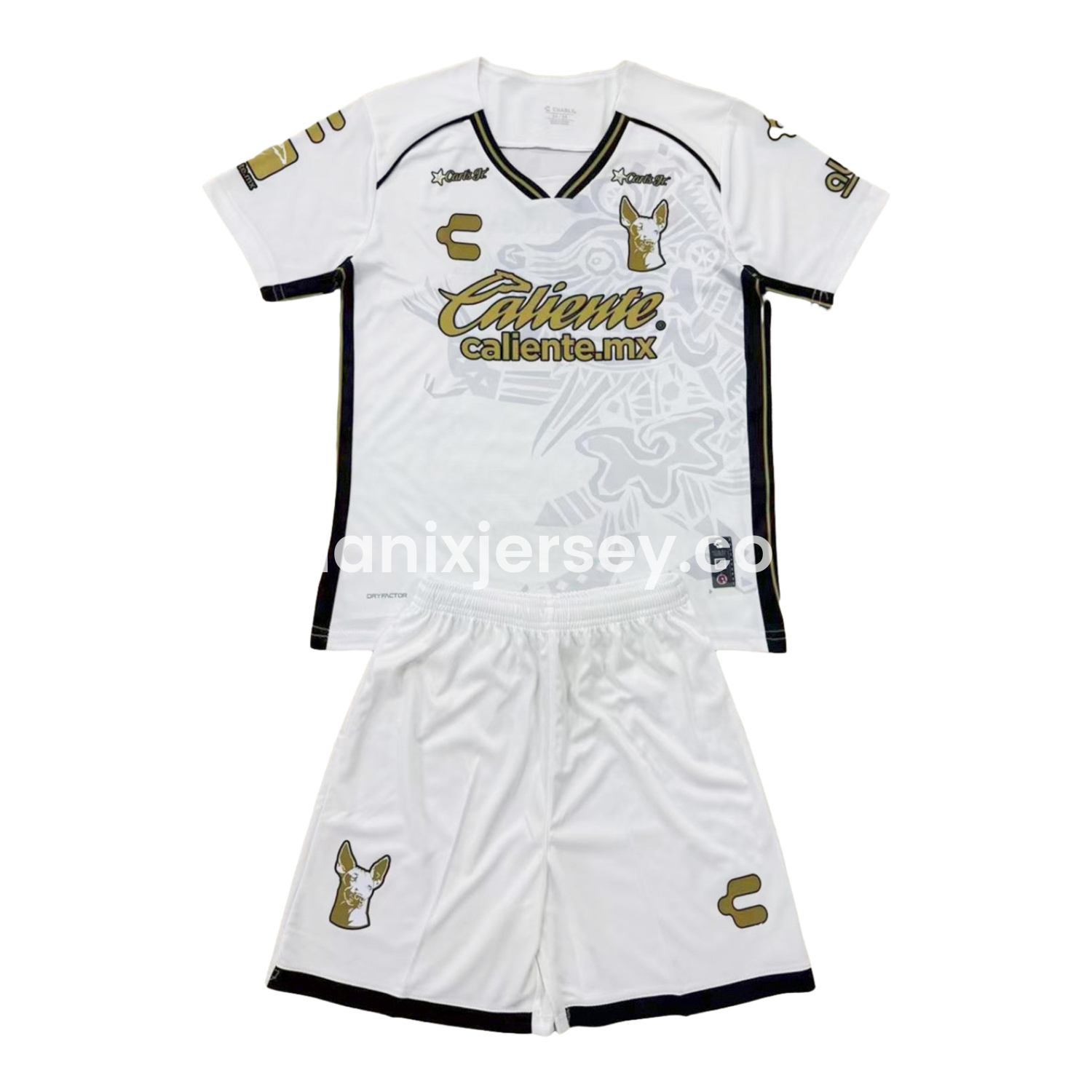 ManixJersey.com | Club Tijuana 24-25 Away Kids Kit -Customize Name, Number and Patch | Worldwide Shipping