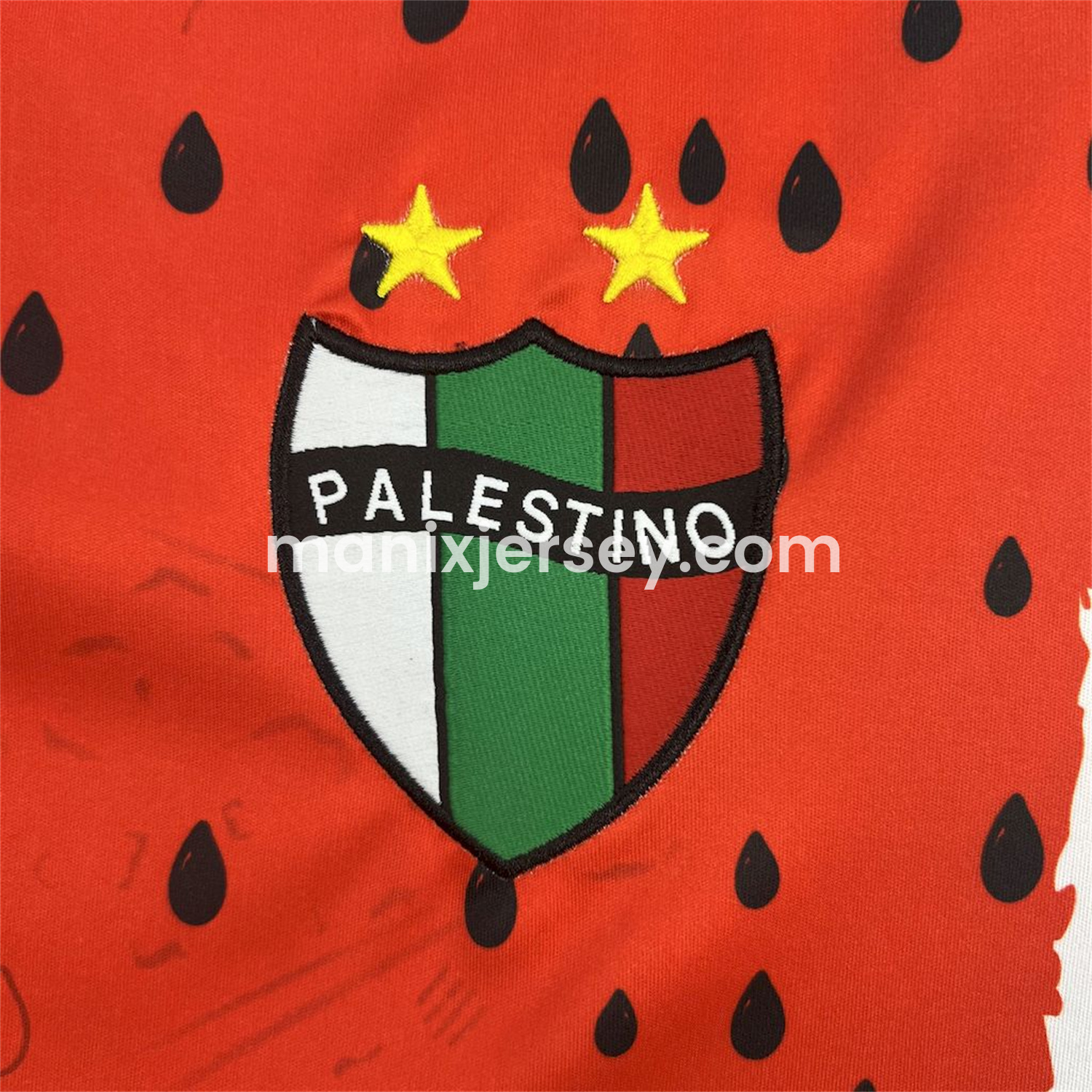 ManixJersey.com | Club Deportivo Palestino 25-26 Third Jersey - Fans Version -Customize Name, Number and Patch | Worldwide Shipping
