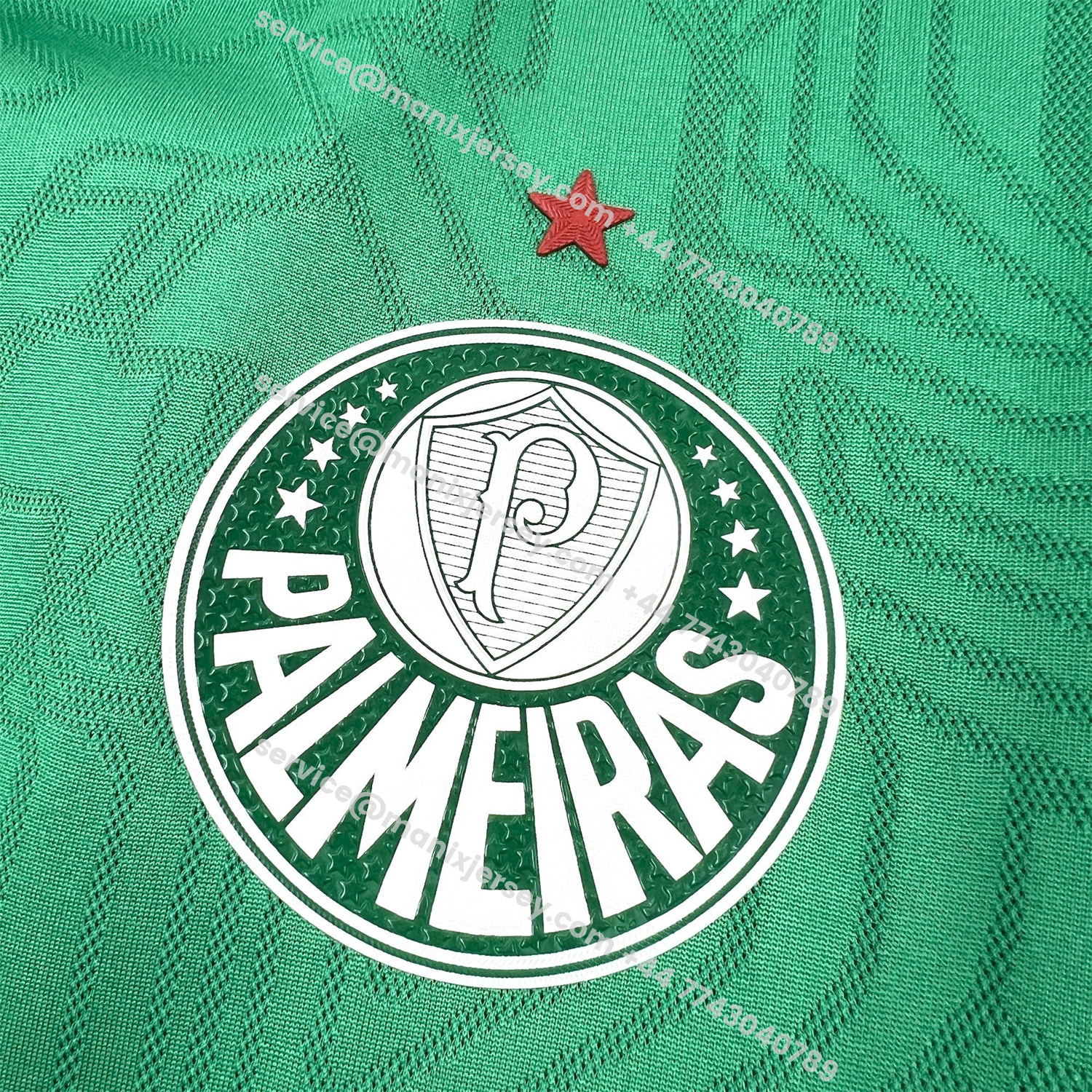 ManixJersey.com | Palmeiras 25-26 Green Training Jersey - Fans Version -Customize Name, Number and Patch | Worldwide Shipping