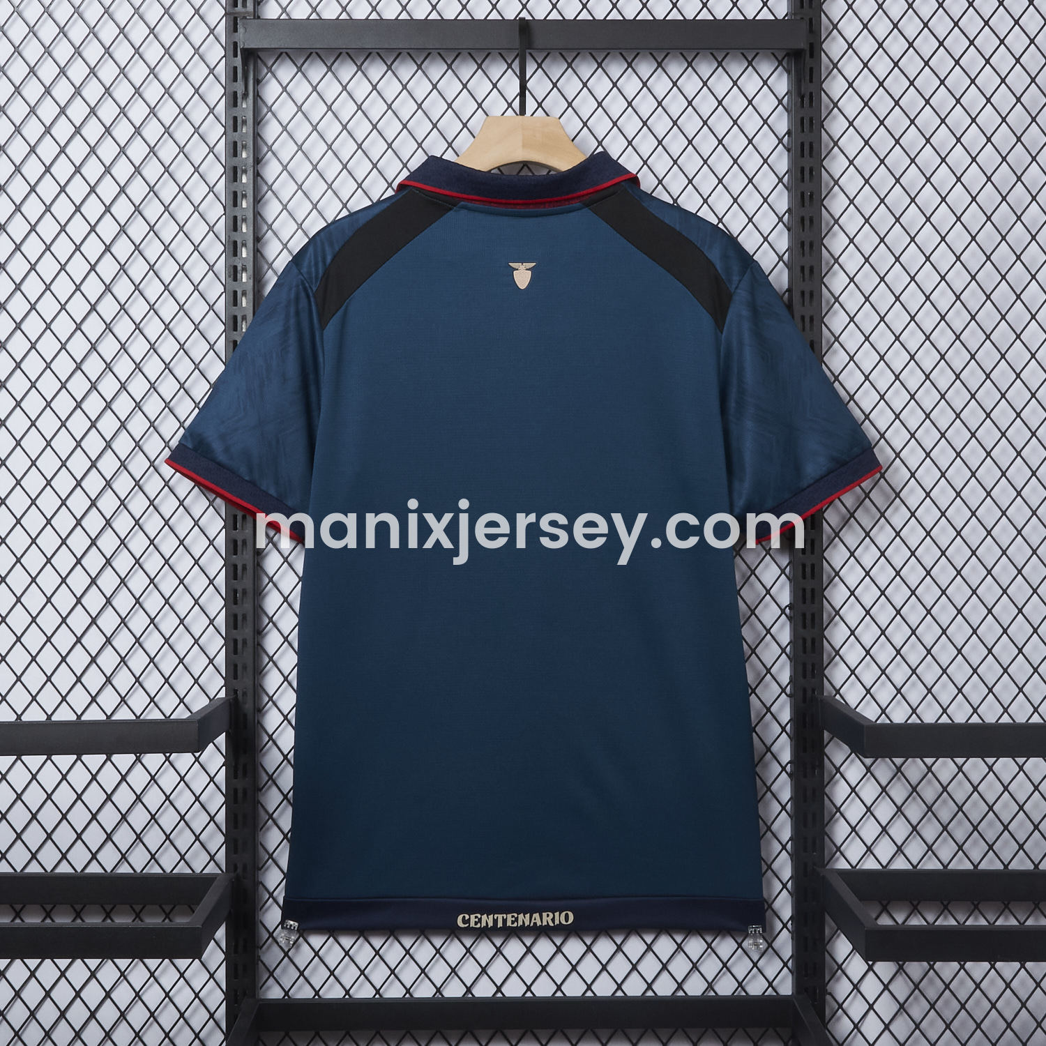 ManixJersey.com | Ecuador 2025 Centenary Away Jersey - Fans Version -Customize Name, Number and Patch | Worldwide Shipping