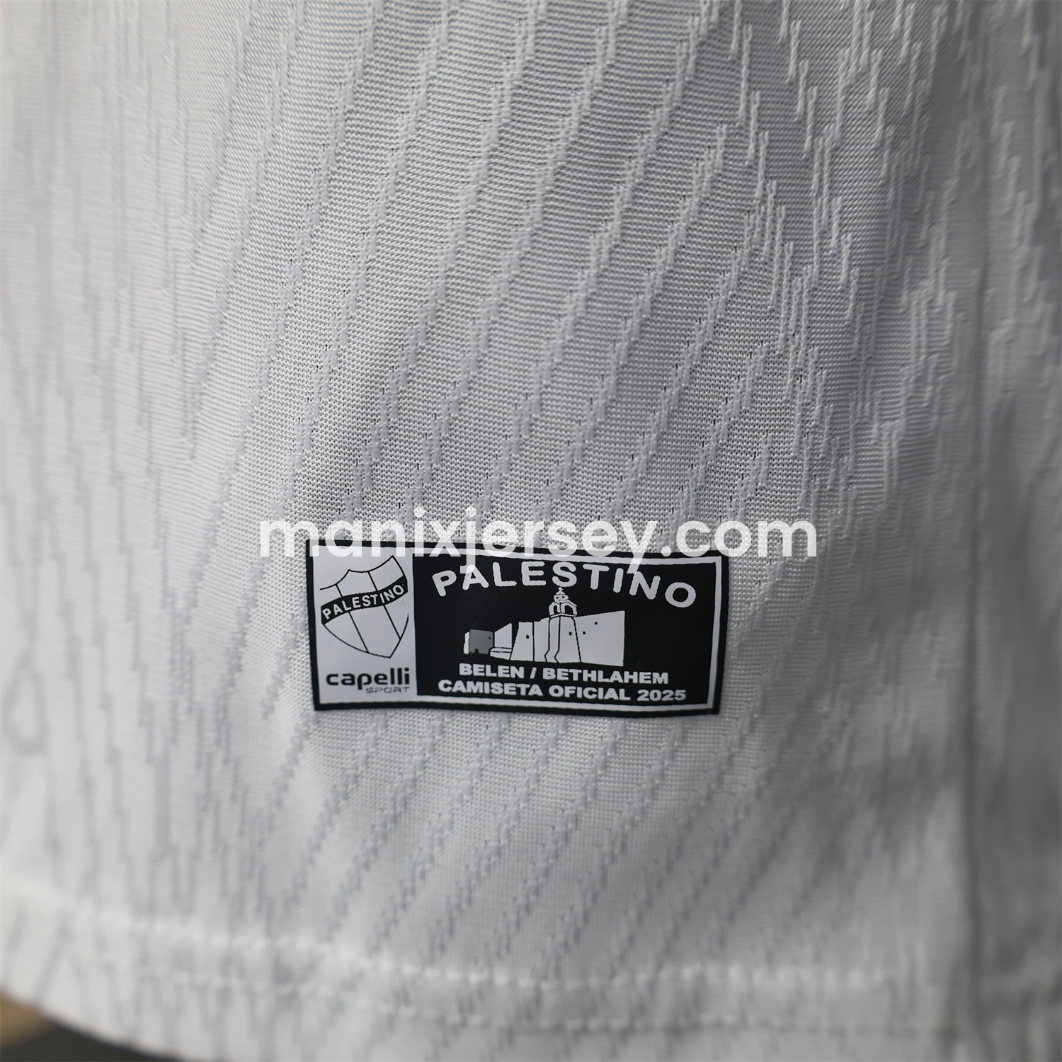 ManixJersey.com | Club Deportivo Palestino 25-26 Home Jersey - Player Version -Customize Name, Number and Patch | Worldwide Shipping