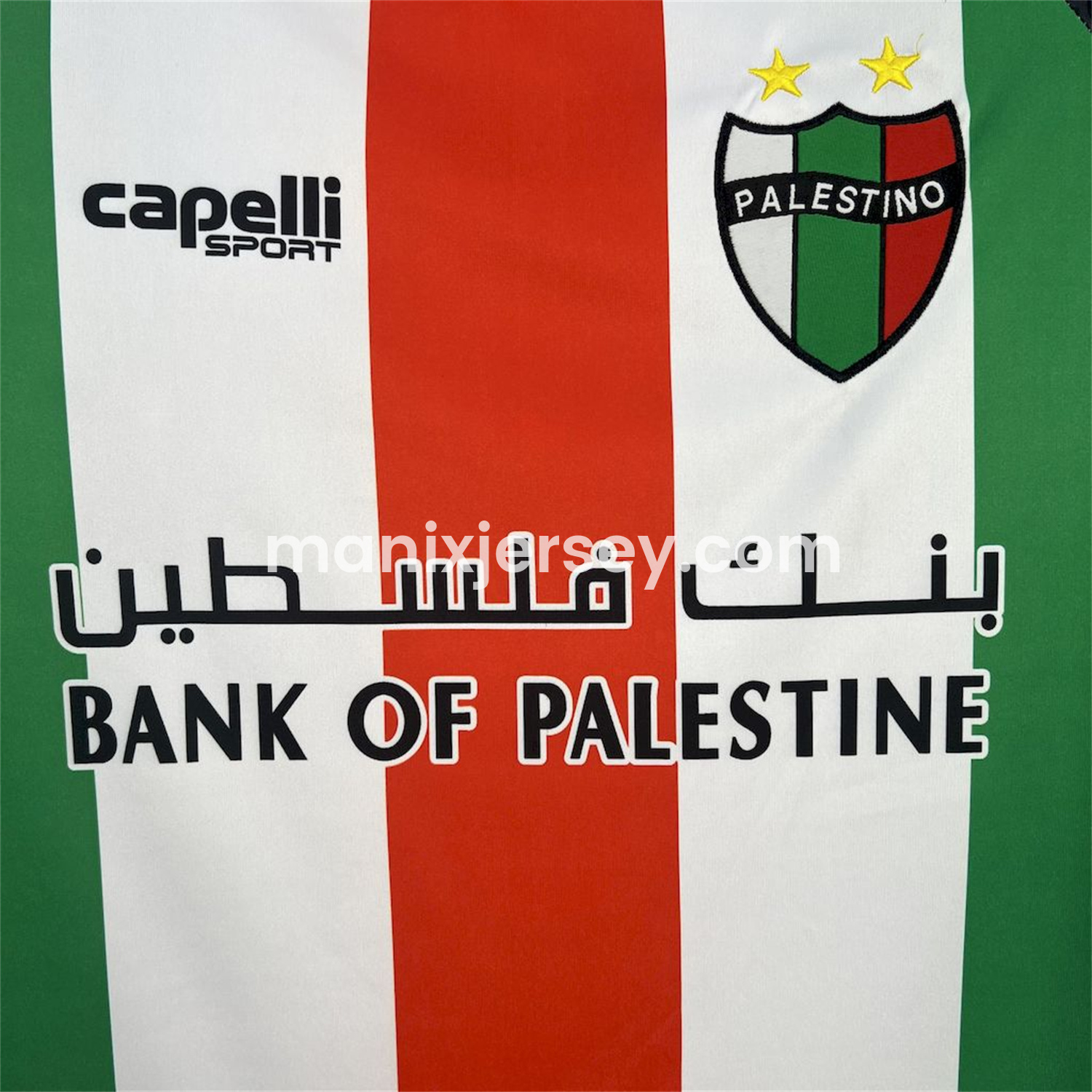 ManixJersey.com | Club Deportivo Palestino 25-26 Home Jersey - Fans Version -Customize Name, Number and Patch | Worldwide Shipping