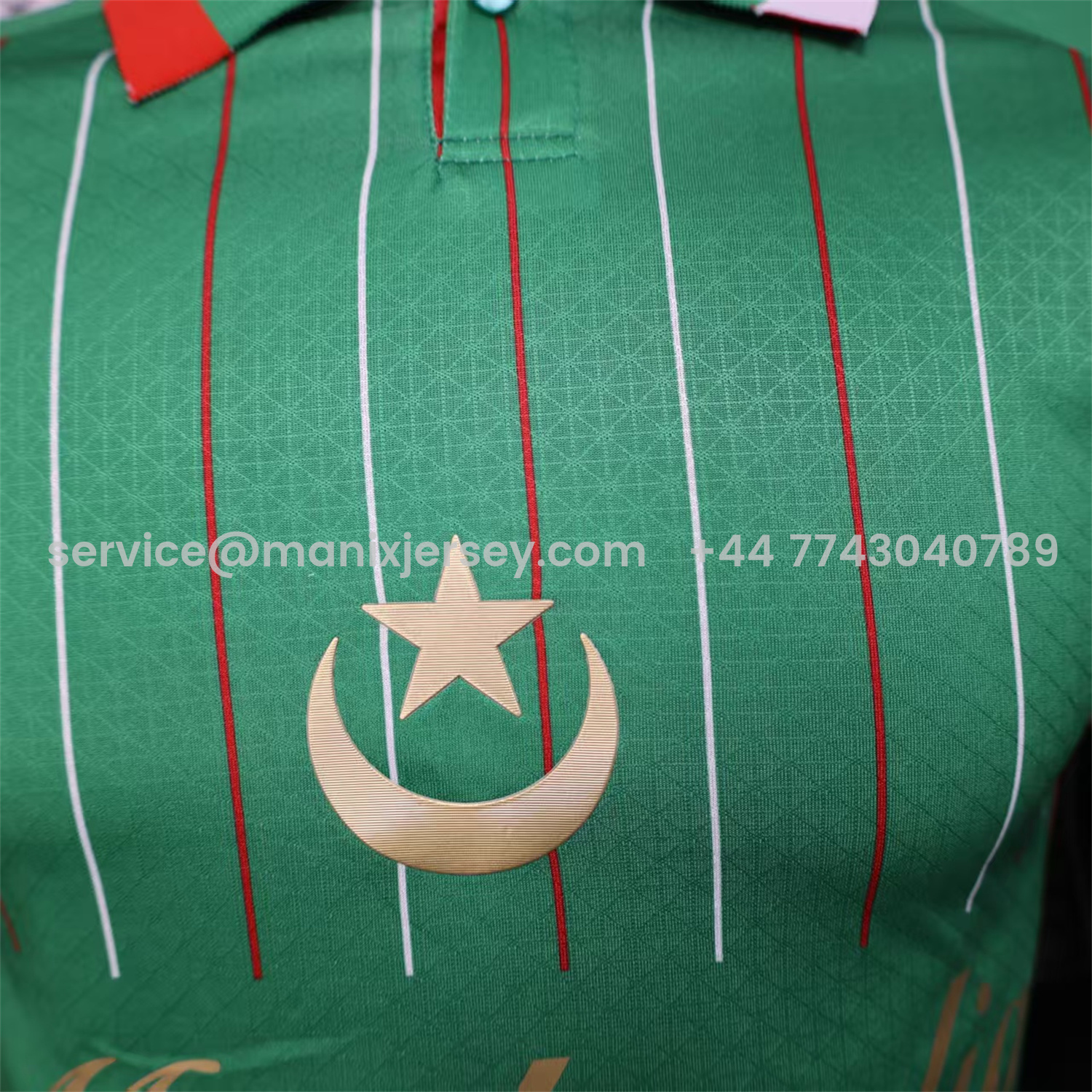 ManixJersey.com | Club Deportivo Palestino Palestine 25-26 Green Special Jersey - Player Version -Customize Name, Number and Patch | Worldwide Shipping