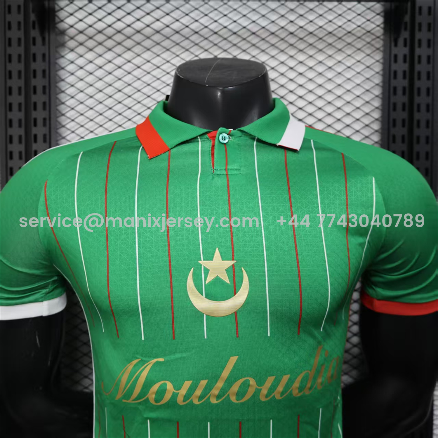 ManixJersey.com | Club Deportivo Palestino Palestine 25-26 Green Special Jersey - Player Version -Customize Name, Number and Patch | Worldwide Shipping