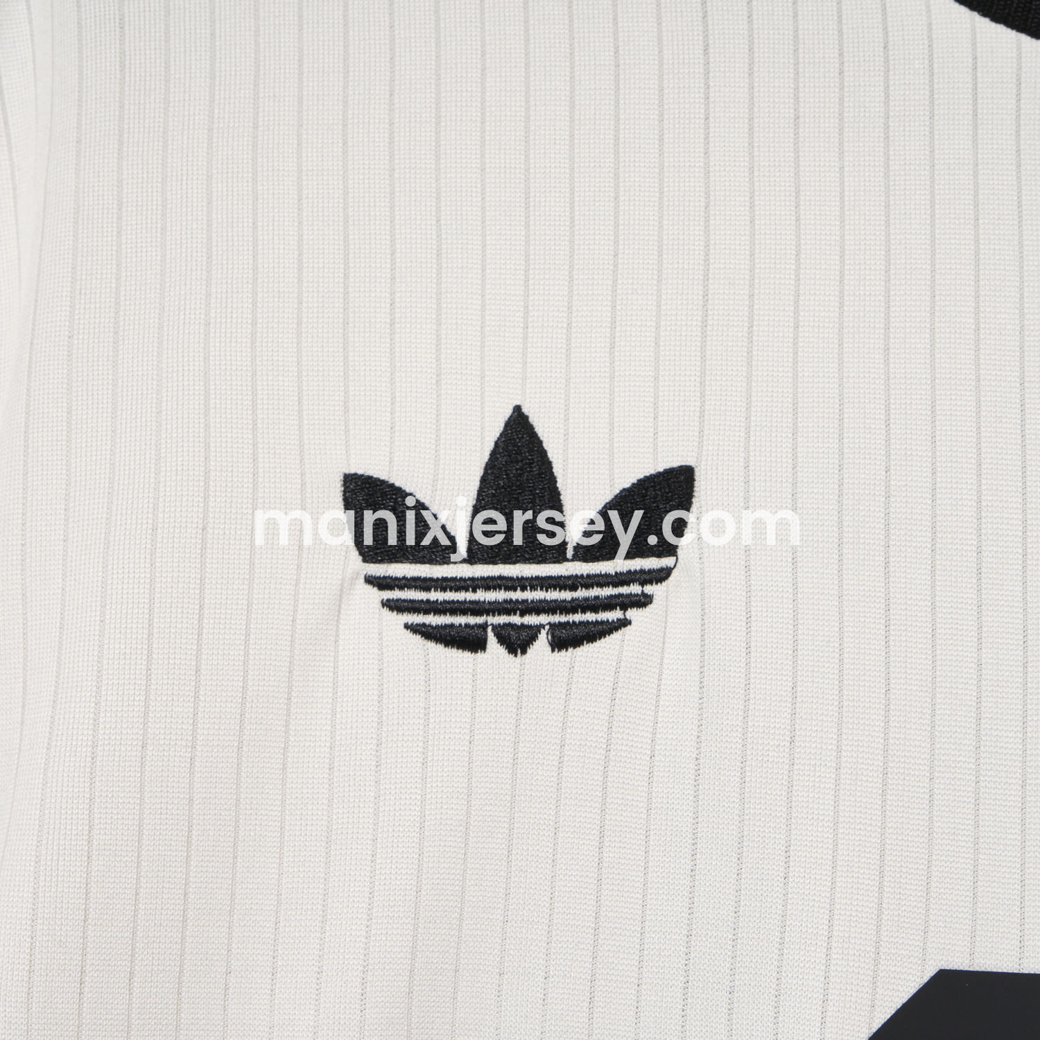 ManixJersey.com | Germany 2025 125-Year Anniversary Commemorative Edition Jersey - Fans Version -Customize Name, Number and Patch | Worldwide Shipping