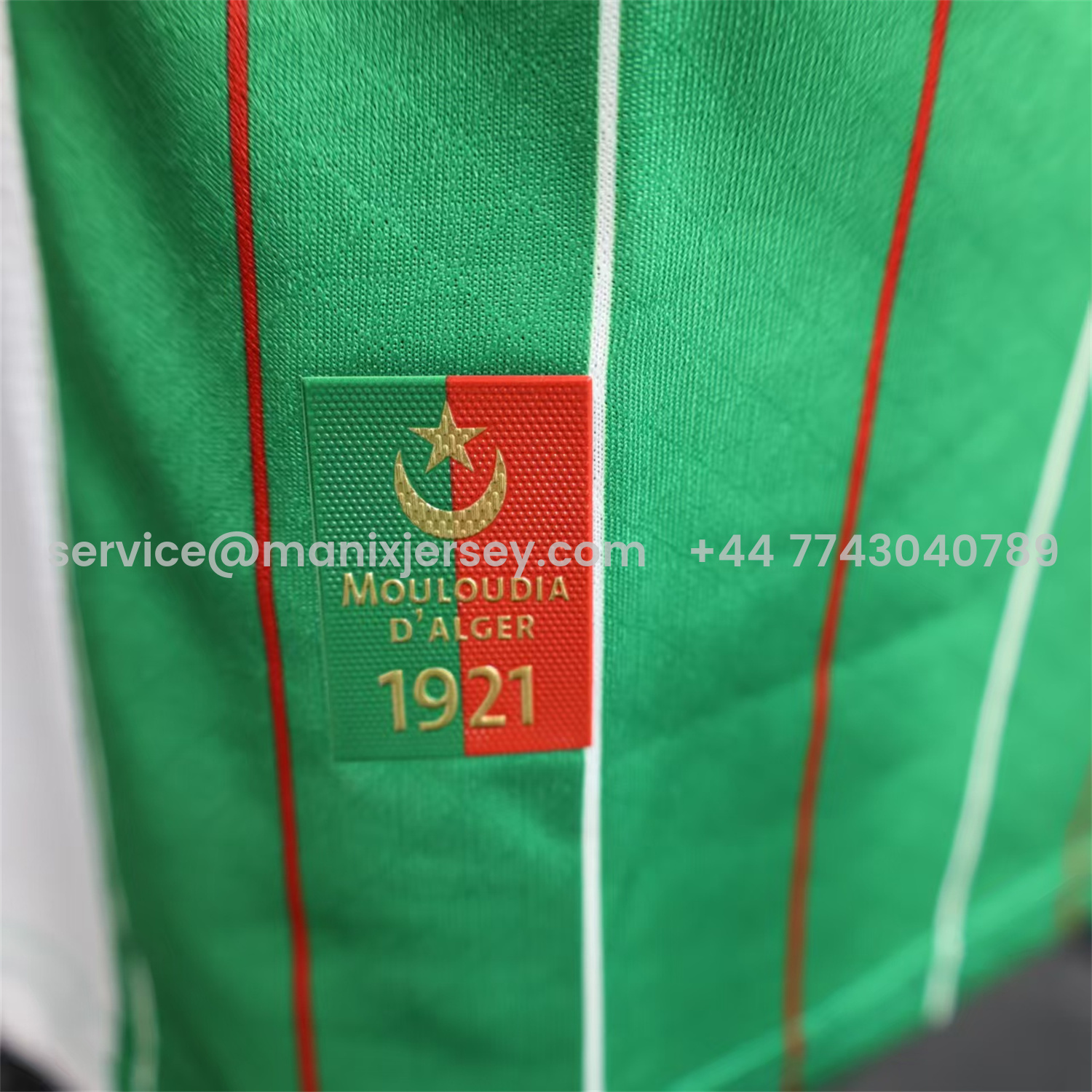 ManixJersey.com | Club Deportivo Palestino Palestine 25-26 Green Special Jersey - Player Version -Customize Name, Number and Patch | Worldwide Shipping