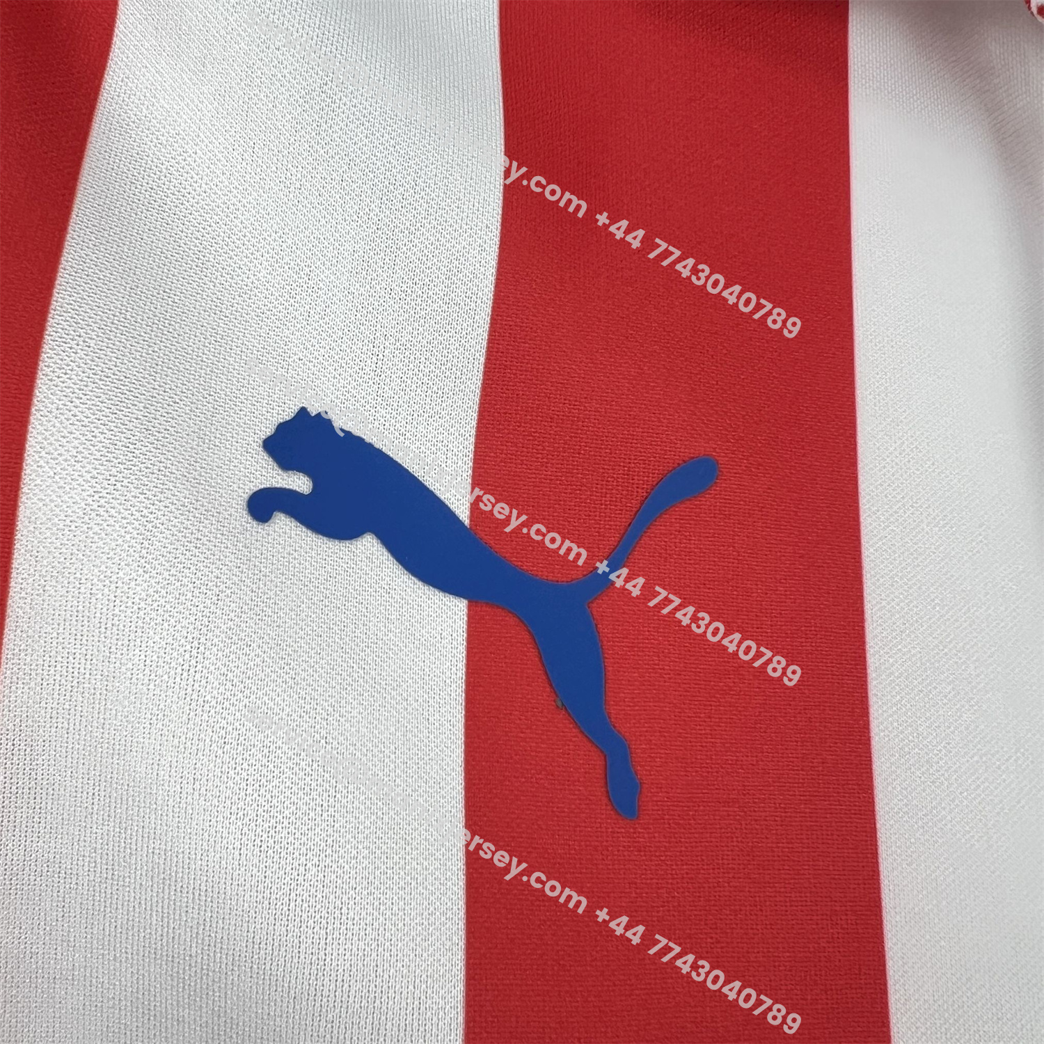 ManixJersey.com | Retro Chivas de Guadalajara 2016-17 110-Years Anniversary Long Sleeves Jersey -Customize Name, Number and Patch | Worldwide Shipping