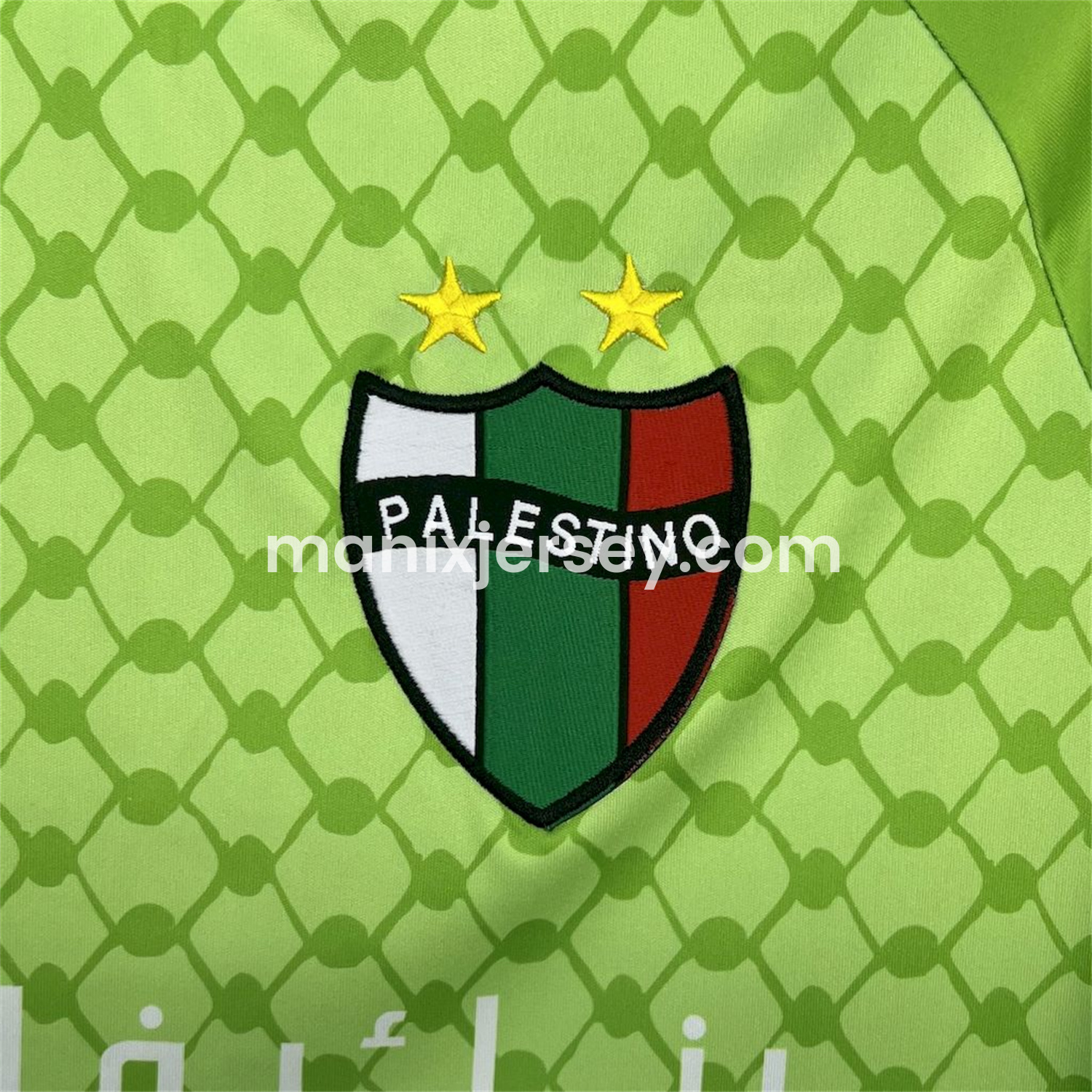 ManixJersey.com | Club Deportivo Palestino 25-26 Green Goalkeeper Jersey - Fans Version -Customize Name, Number and Patch | Worldwide Shipping