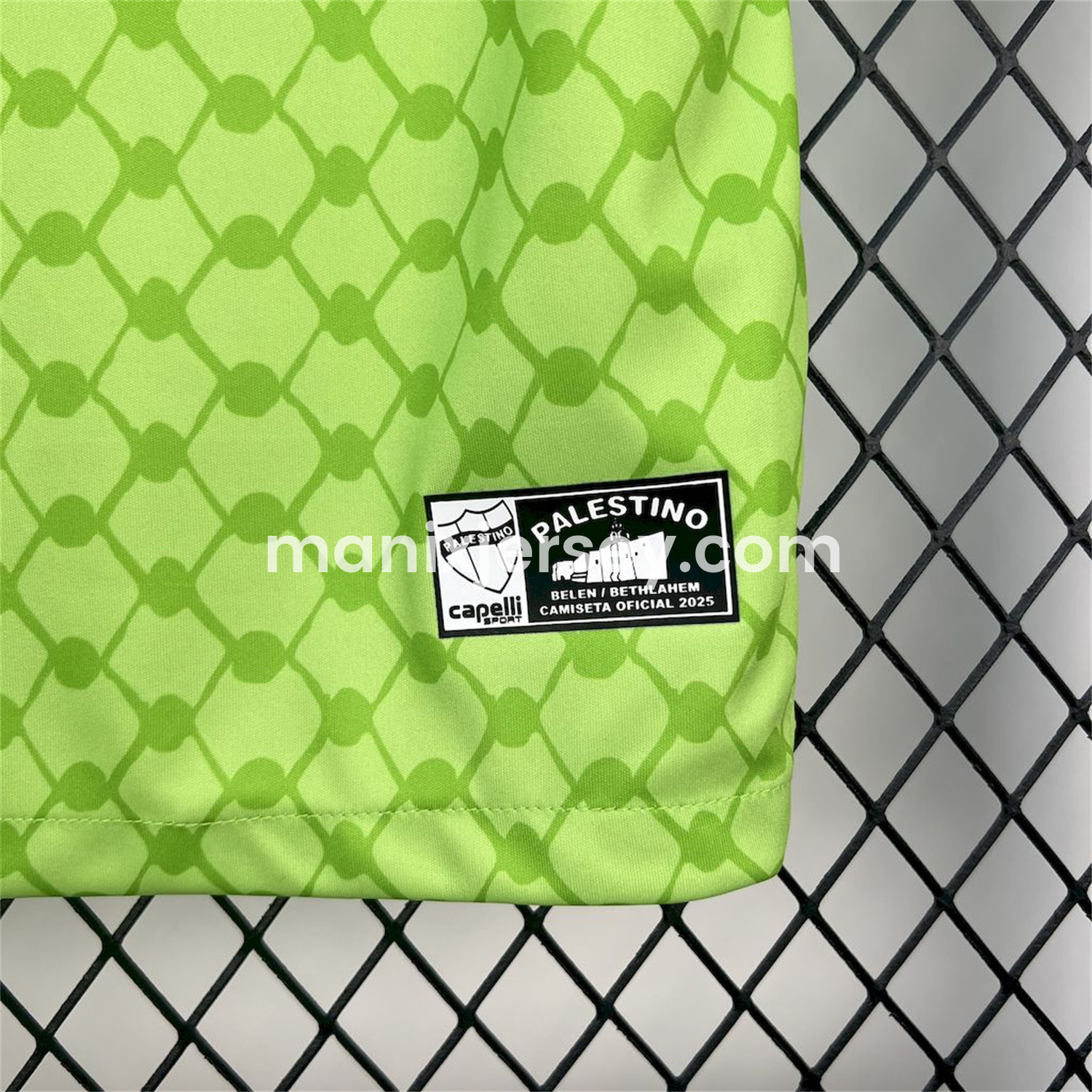 ManixJersey.com | Club Deportivo Palestino 25-26 Green Goalkeeper Jersey - Fans Version -Customize Name, Number and Patch | Worldwide Shipping