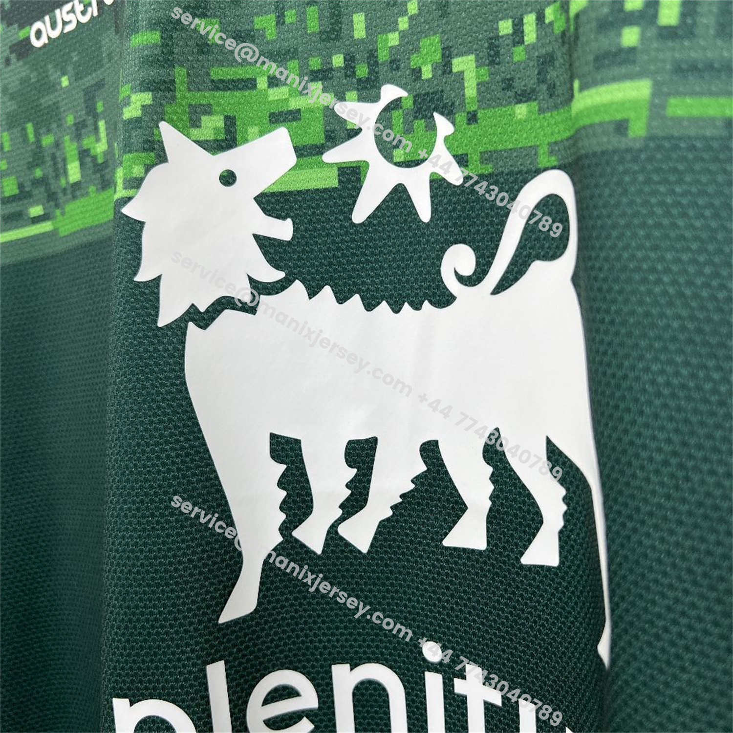 ManixJersey.com | Racing de Santander 25-26 Away Green Jersey - Fans Version -Customize Name, Number and Patch | Worldwide Shipping