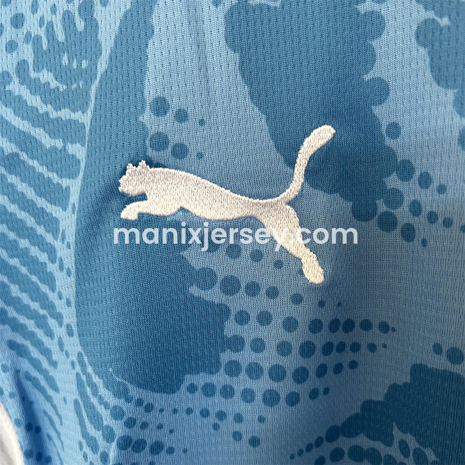 ManixJersey.com | Palmeiras 25-26 Blue Goalkeeper Jersey - Fans Version -Customize Name, Number and Patch | Worldwide Shipping