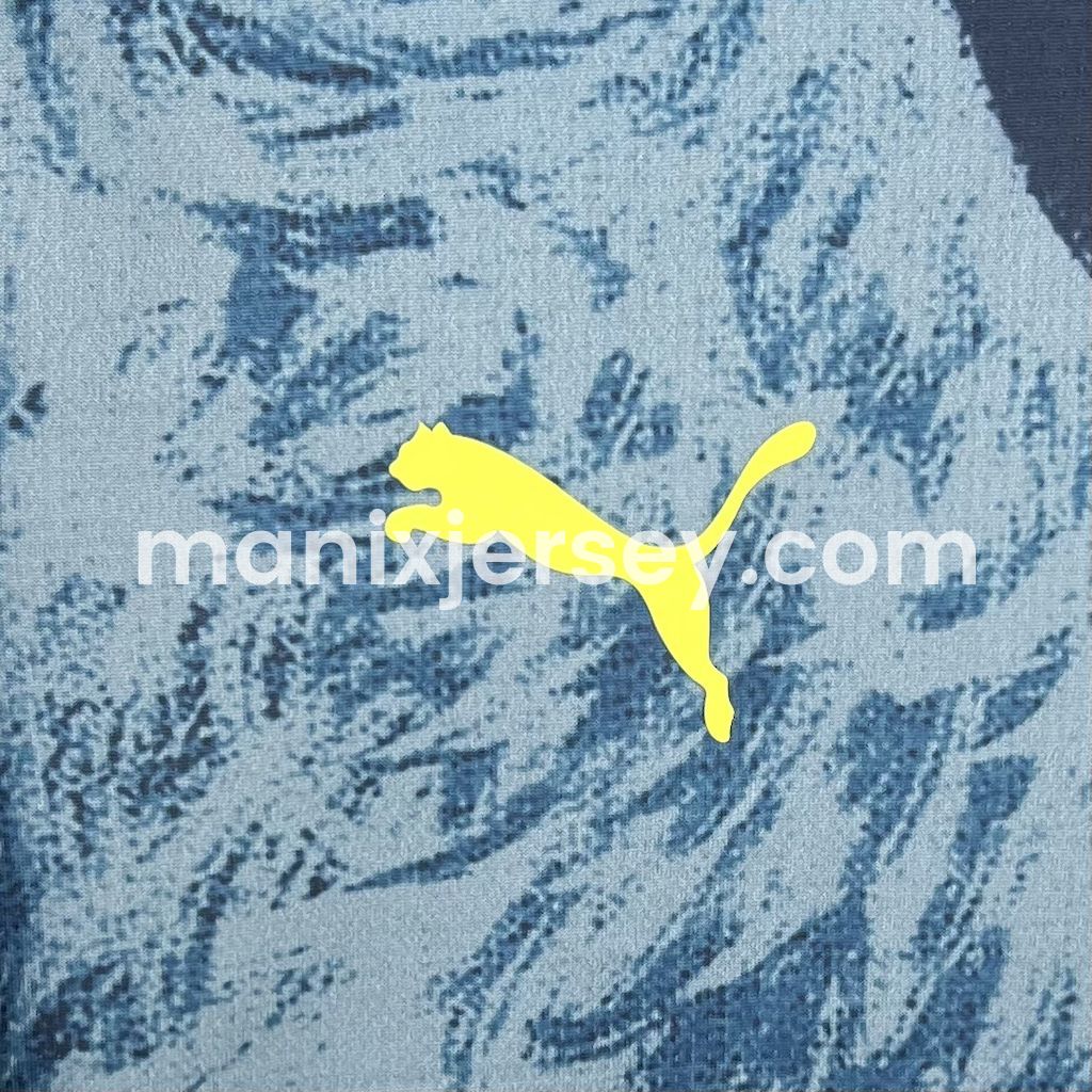 ManixJersey.com | Fenerbahce 24-25 Fourth Jersey - Fans Version -Customize Name, Number and Patch | Worldwide Shipping