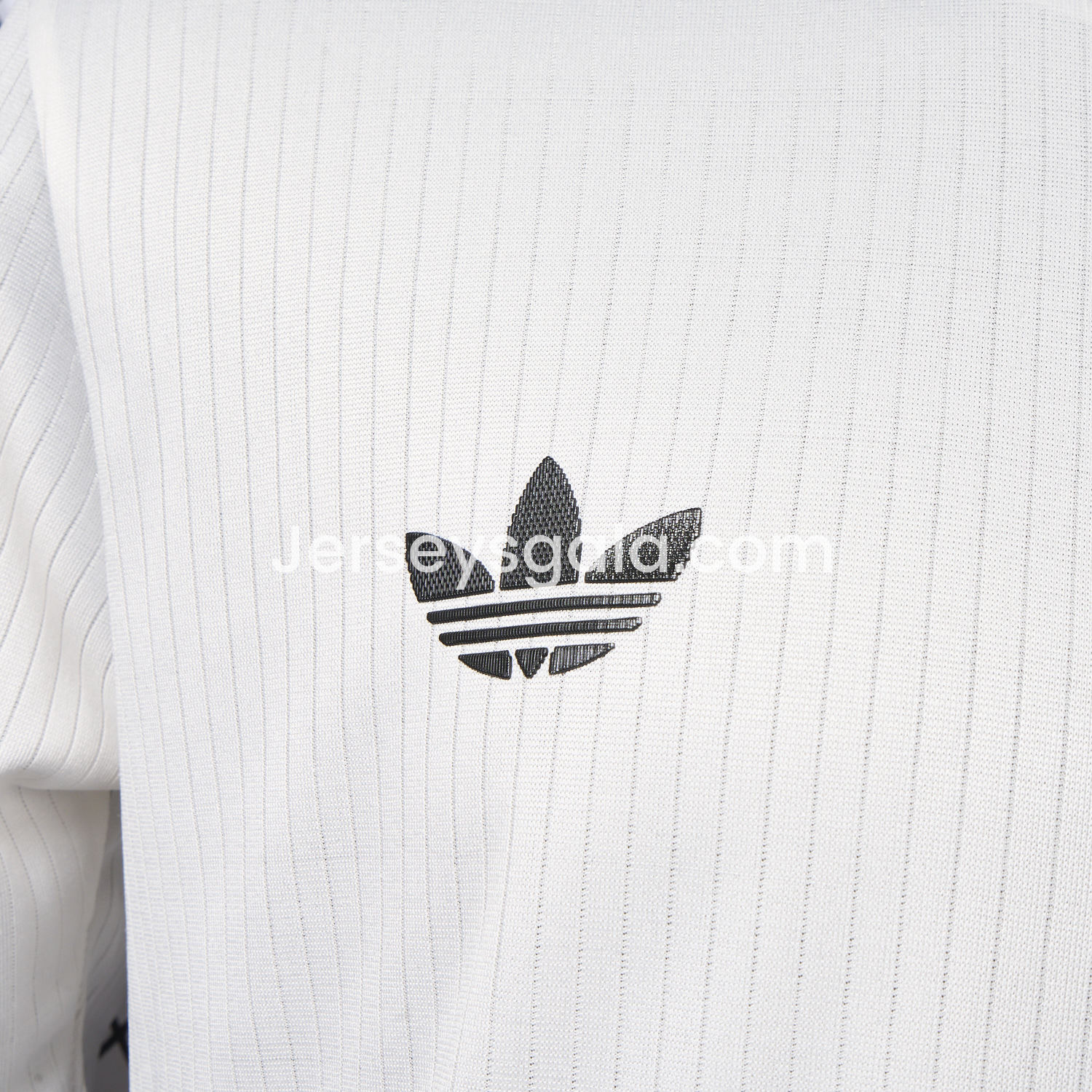 JerseysGala.com | Germany 2025 125-Year Anniversary Commemorative Edition Long Sleeve Jersey - Player Version -Customize Name, Number and Patch | Worldwide Shipping