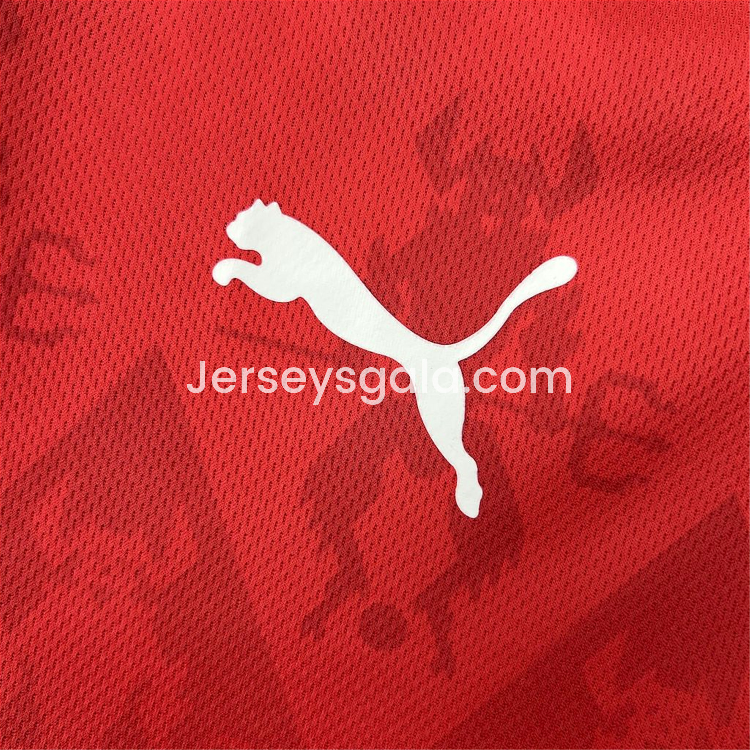 JerseysGala.com | CA Independiente 25-26 Home Jersey - Fans Version -Customize Name, Number and Patch | Worldwide Shipping