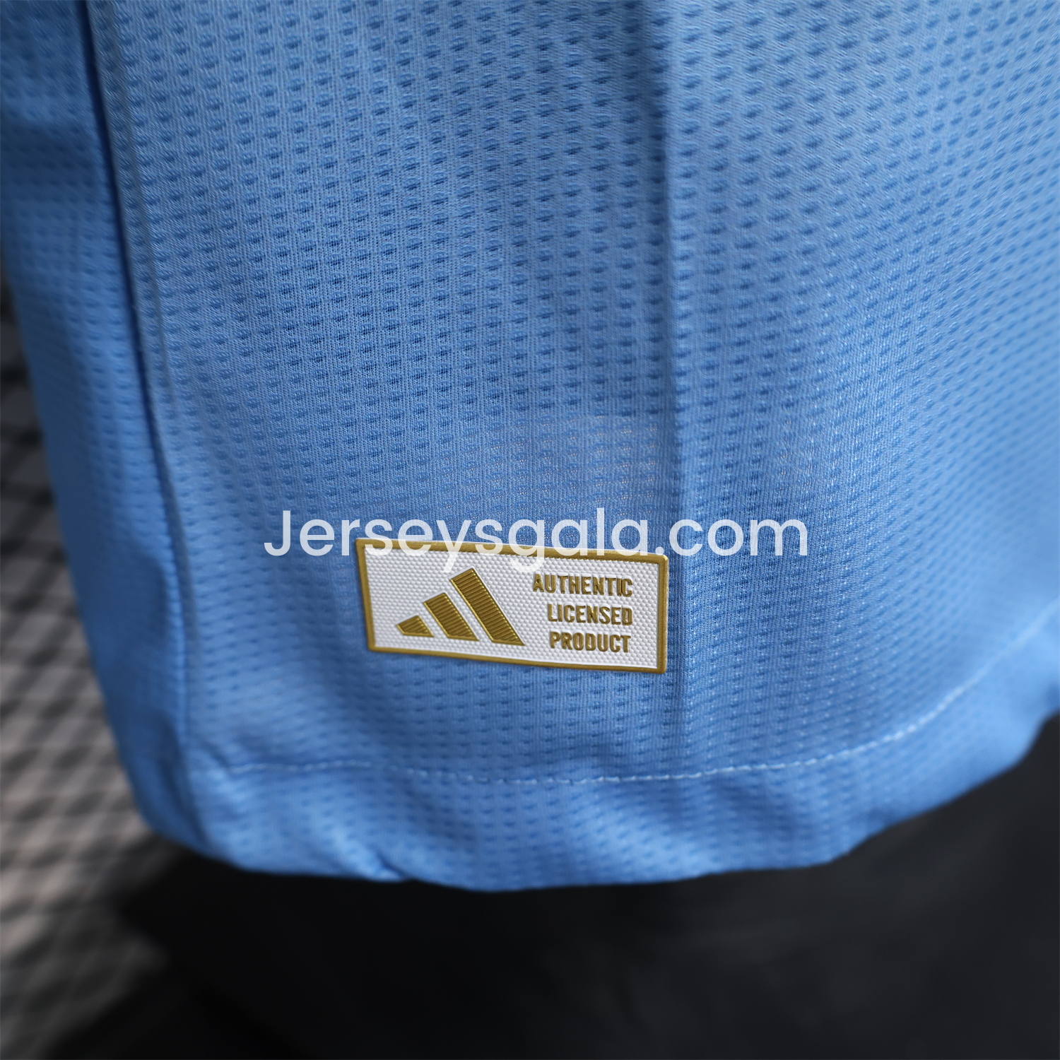JerseysGala.com | Real Madrid 25-26 Blue Goalkeeper Jersey - Player Version -Customize Name, Number and Patch | Worldwide Shipping