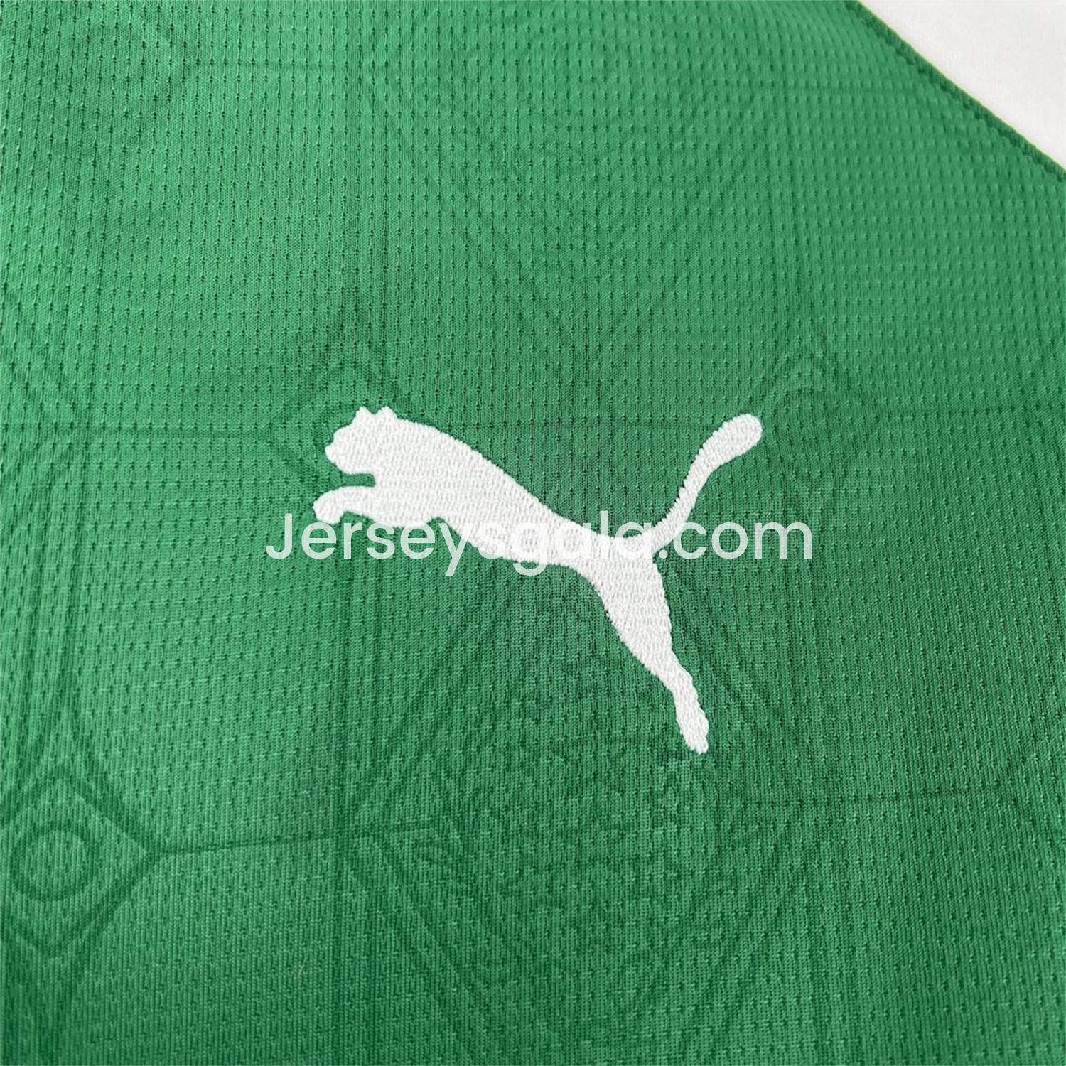 JerseysGala.com | Palmeiras 25-26 Home Jersey - Fans Version -Customize Name, Number and Patch | Worldwide Shipping