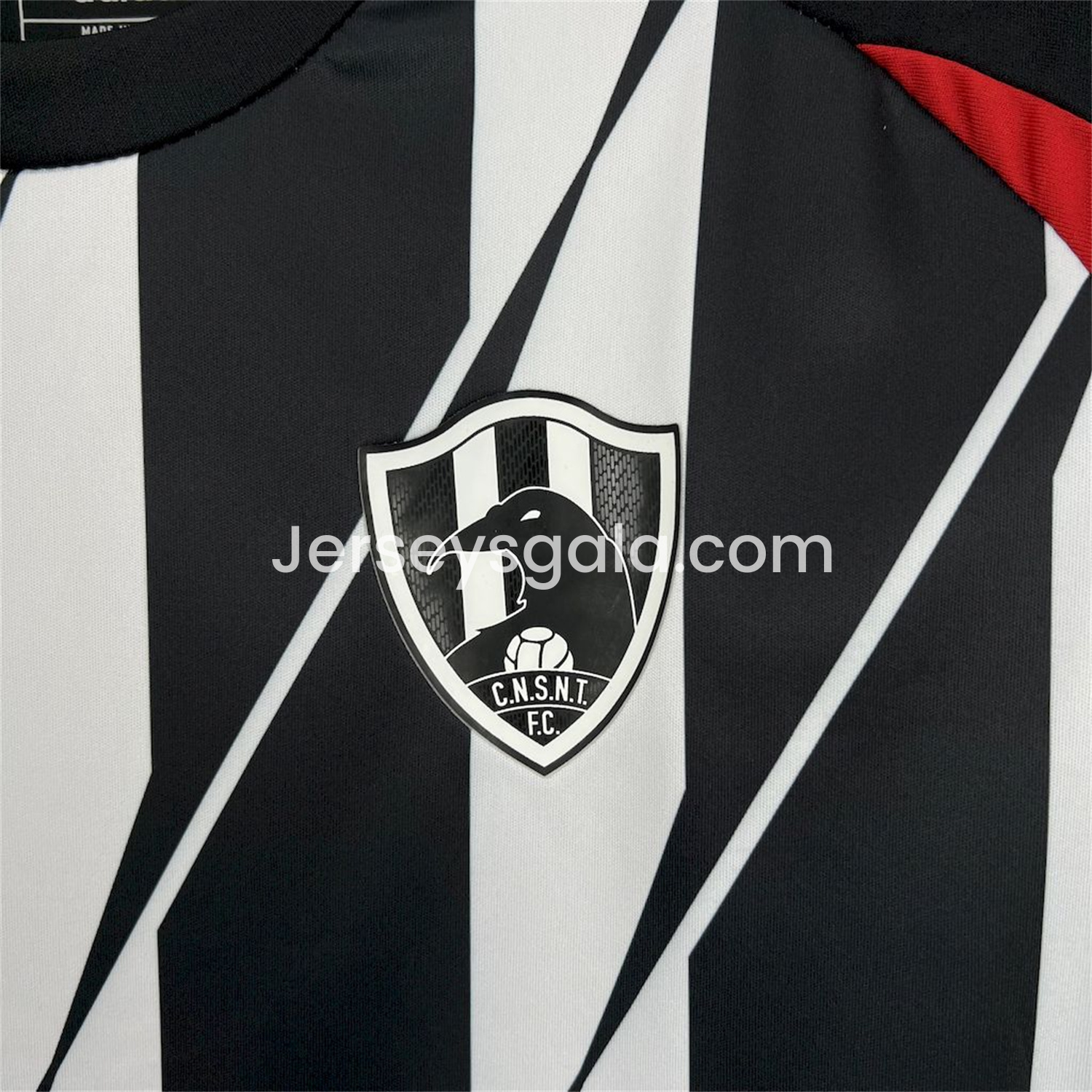 JerseysGala.com | Club de Cuervos 25-26 Home Jersey - Fans Version -Customize Name, Number and Patch | Worldwide Shipping