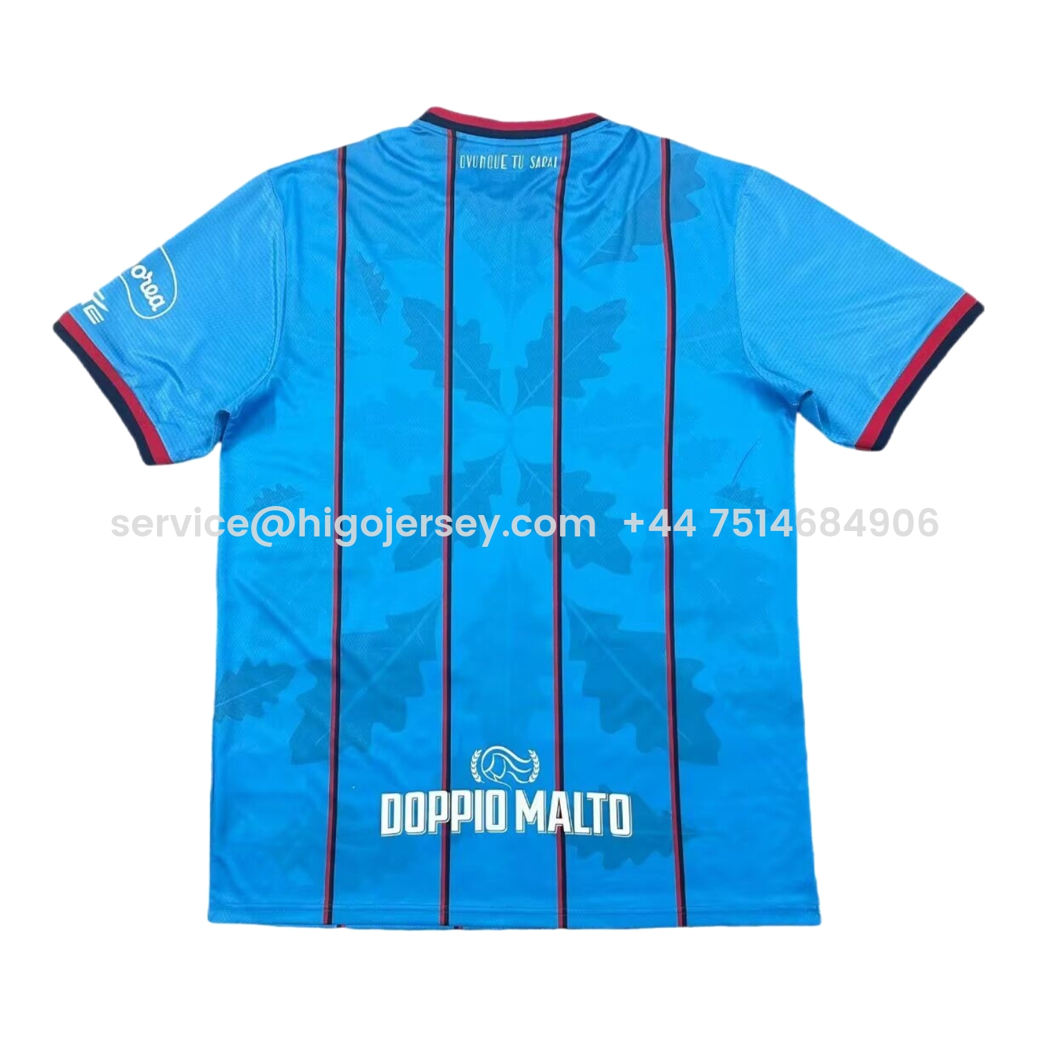Higojerseys-Cagliari Calcio 25-26 Third Jersey - Fans Version
