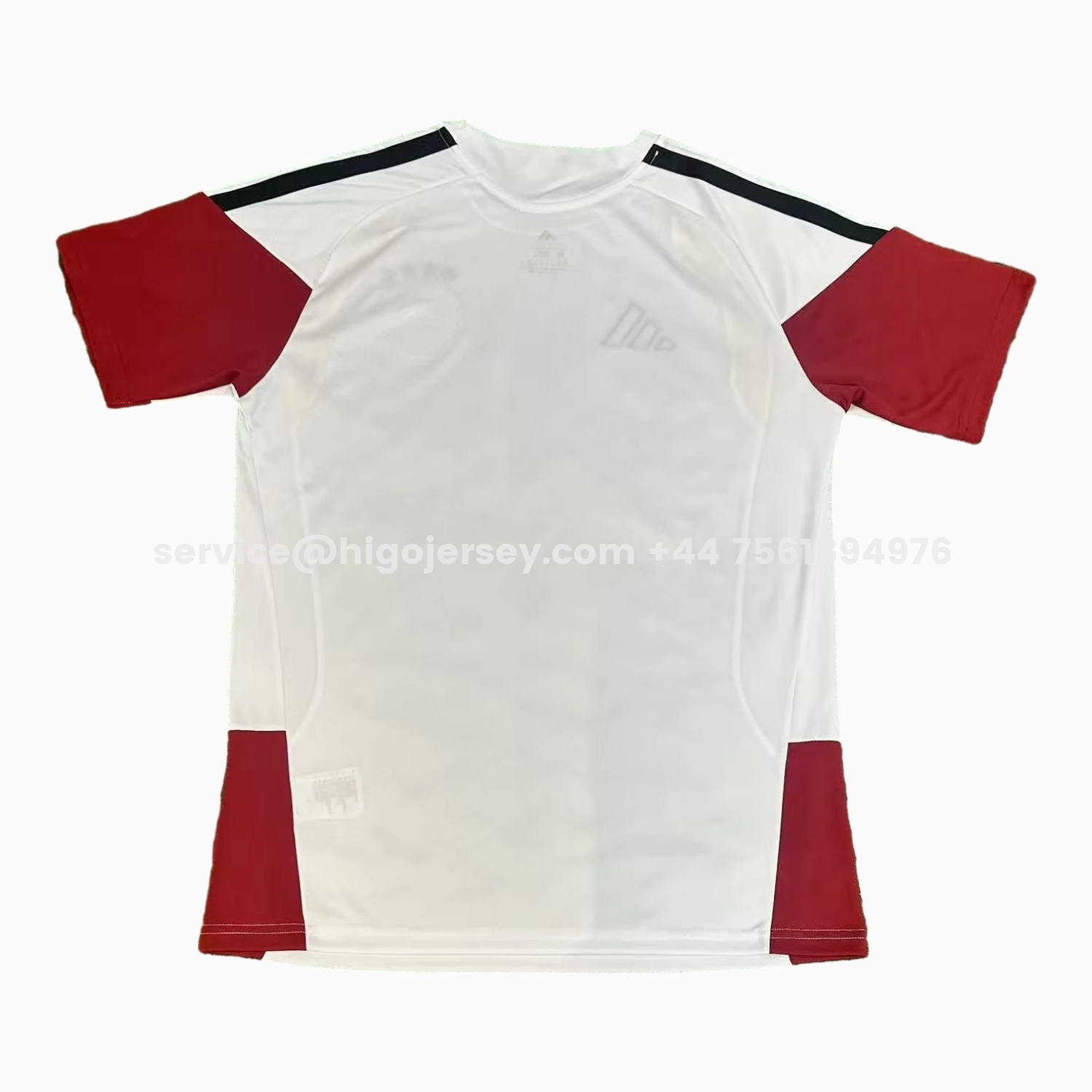 Higojerseys-Germany 2026 White Pre-Match Training Jersey - Fans Version