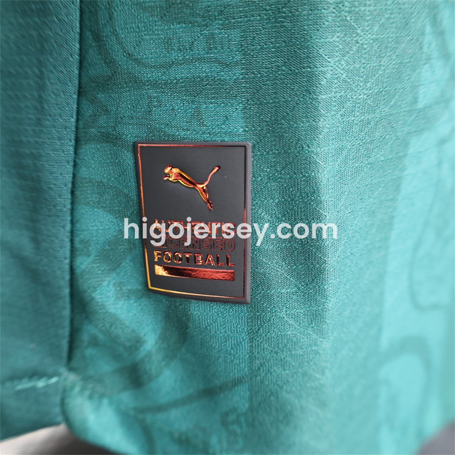 Higojerseys-Plymouth Argyle 25-26 Home Unsponsored Jersey - Player Version