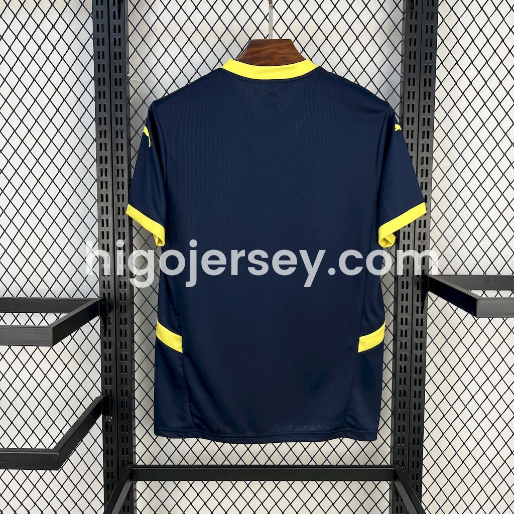 Higojerseys-Fenerbahce 24-25 Fourth Jersey - Fans Version