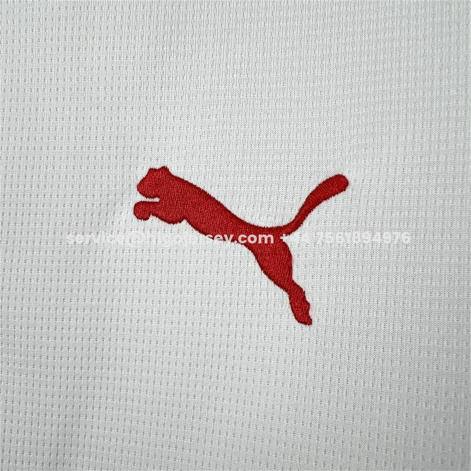 Higojerseys-Portugal 2026 White And Green Special Jersey - Fans Version