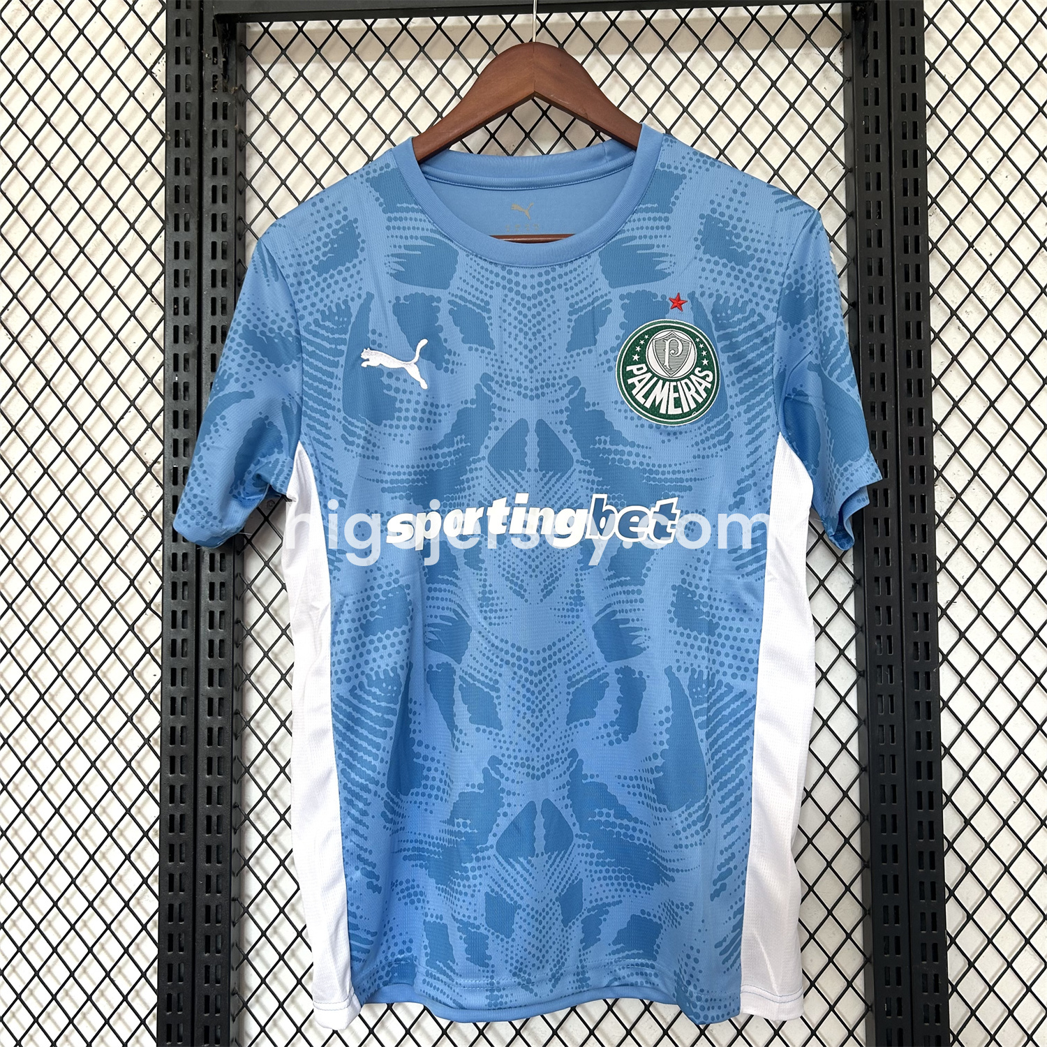 Higojerseys-Palmeiras 25-26 Blue Goalkeeper Jersey - Fans Version