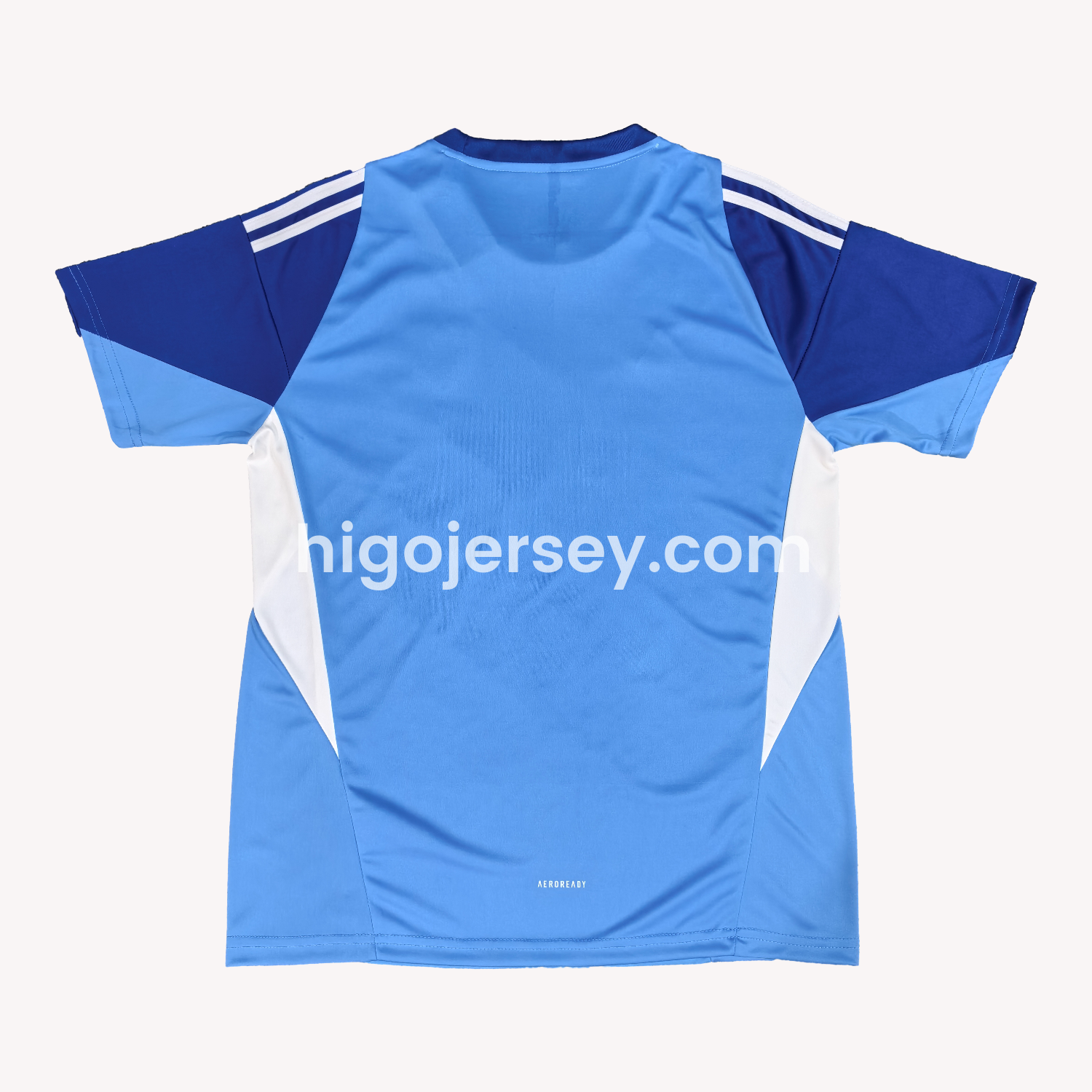 Higojerseys-Venezuela 25-26 Blue Goalkeeper Jersey - Fans Version
