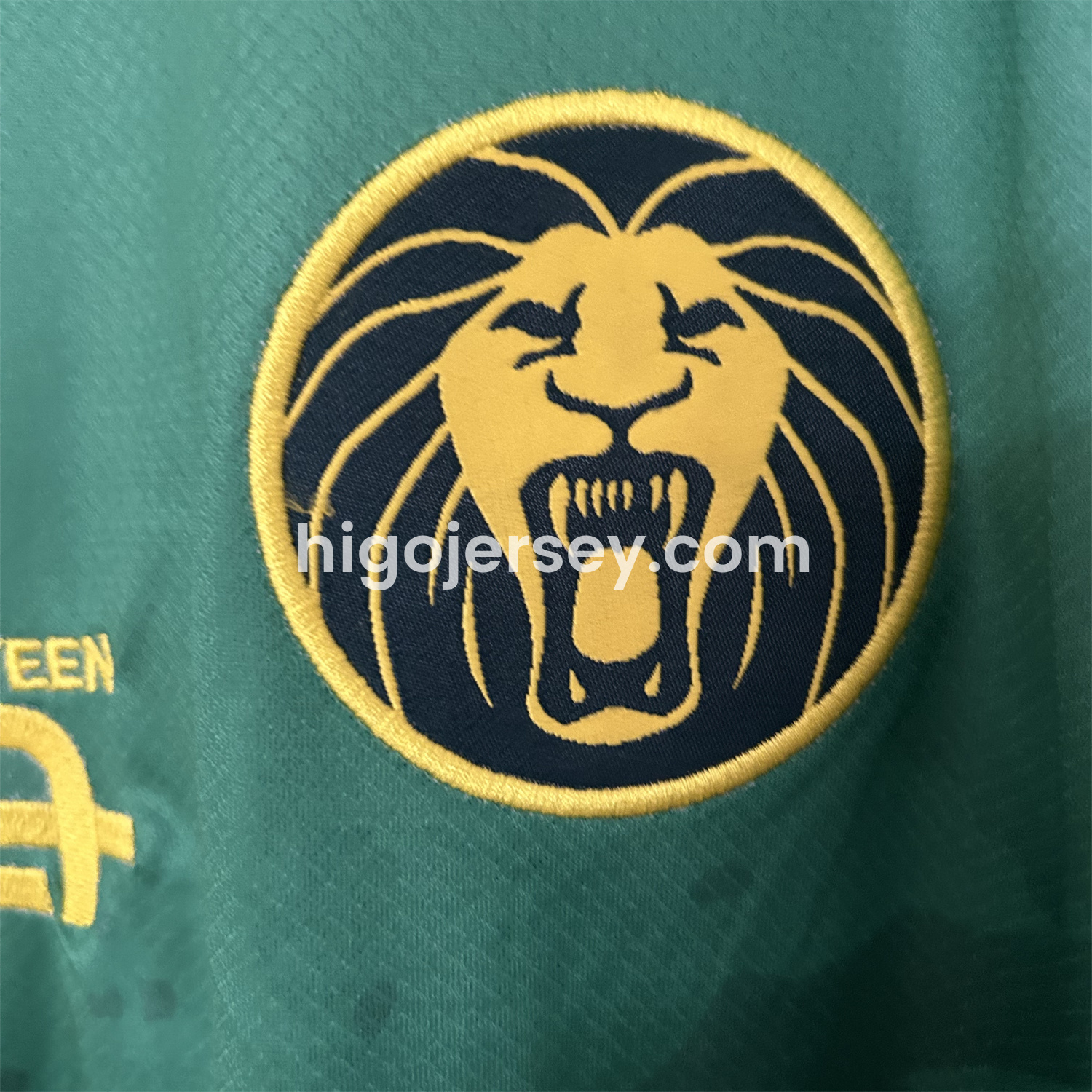 Higojerseys-Cameroon 25-26 Home Jersey - Fans Version