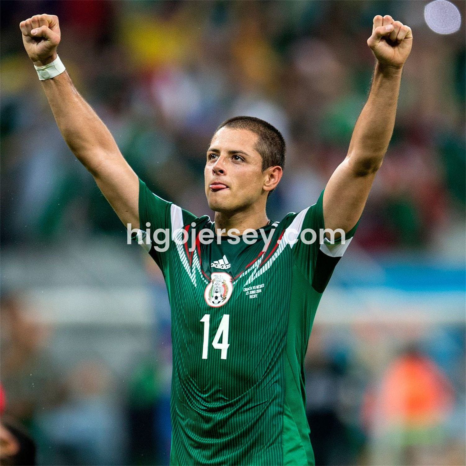 Higojerseys-Retro Mexico 2014 Home Jersey