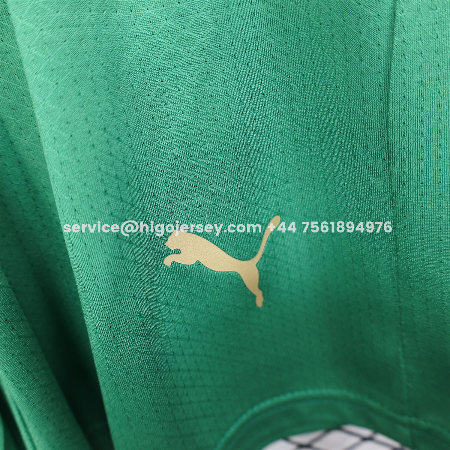 Higojerseys-Morocco 2026 Home Green Shorts - Player Version