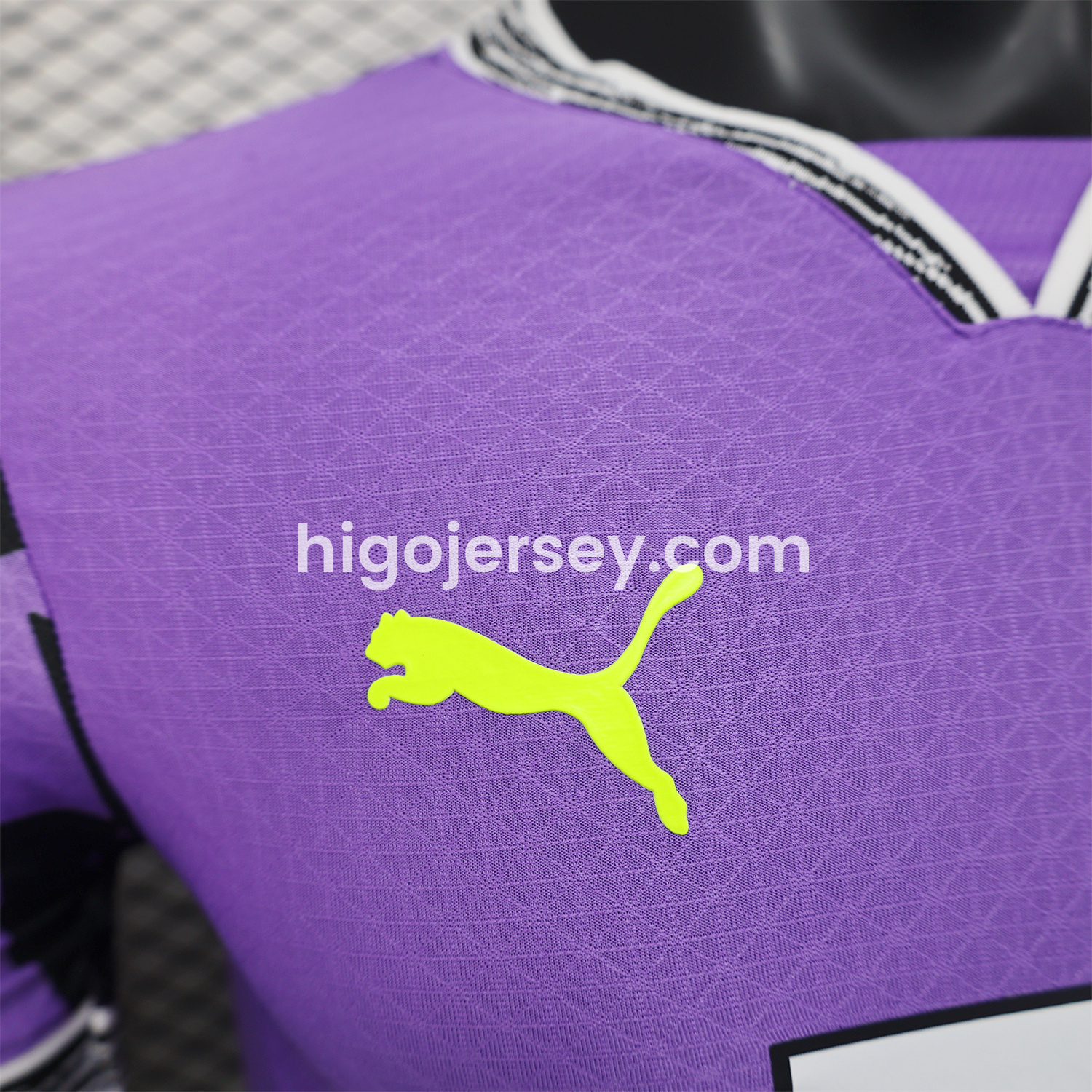 Higojerseys-Dortmund 24-25 Purple Goalkeeper Special Edition Jersey - Player Version
