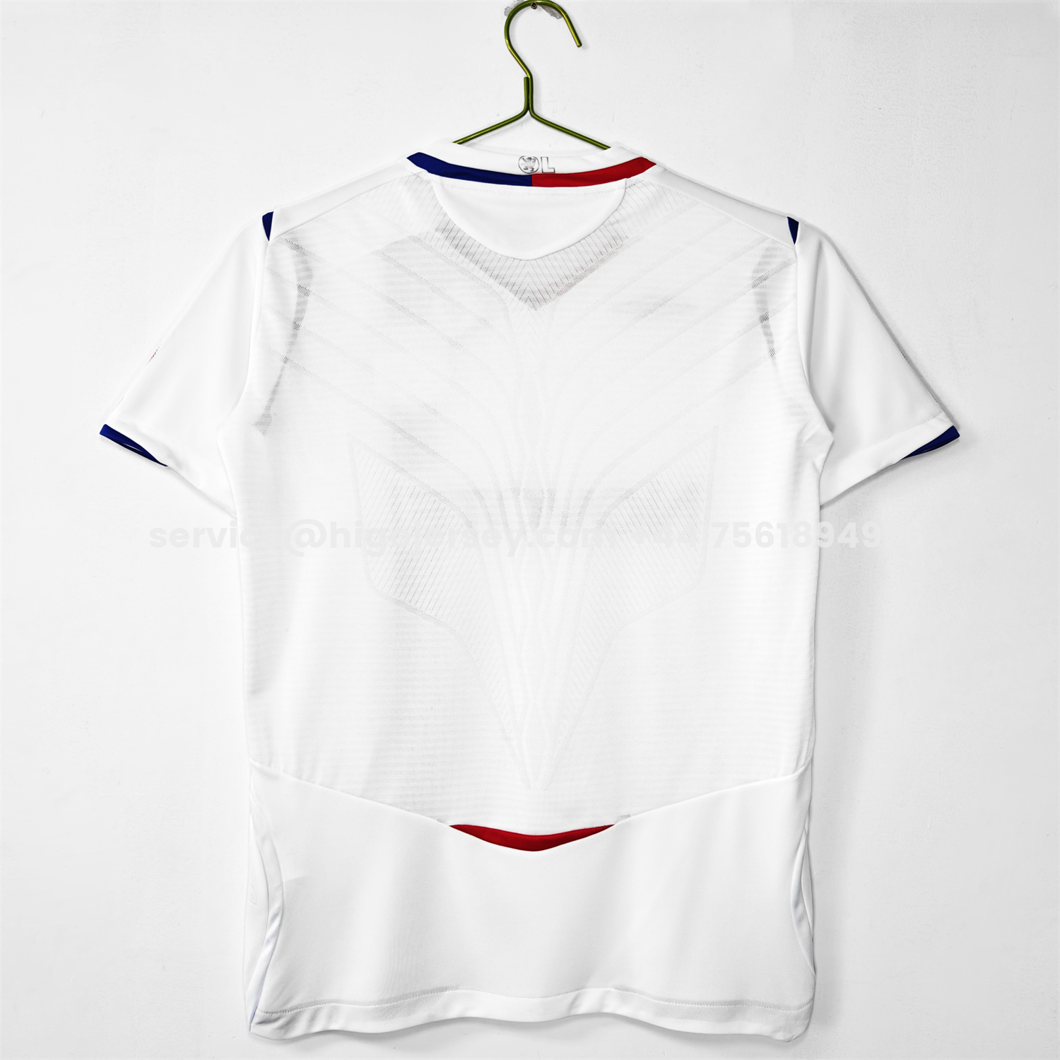 Higojerseys-Retro Lyon 2008-09 Home Jersey