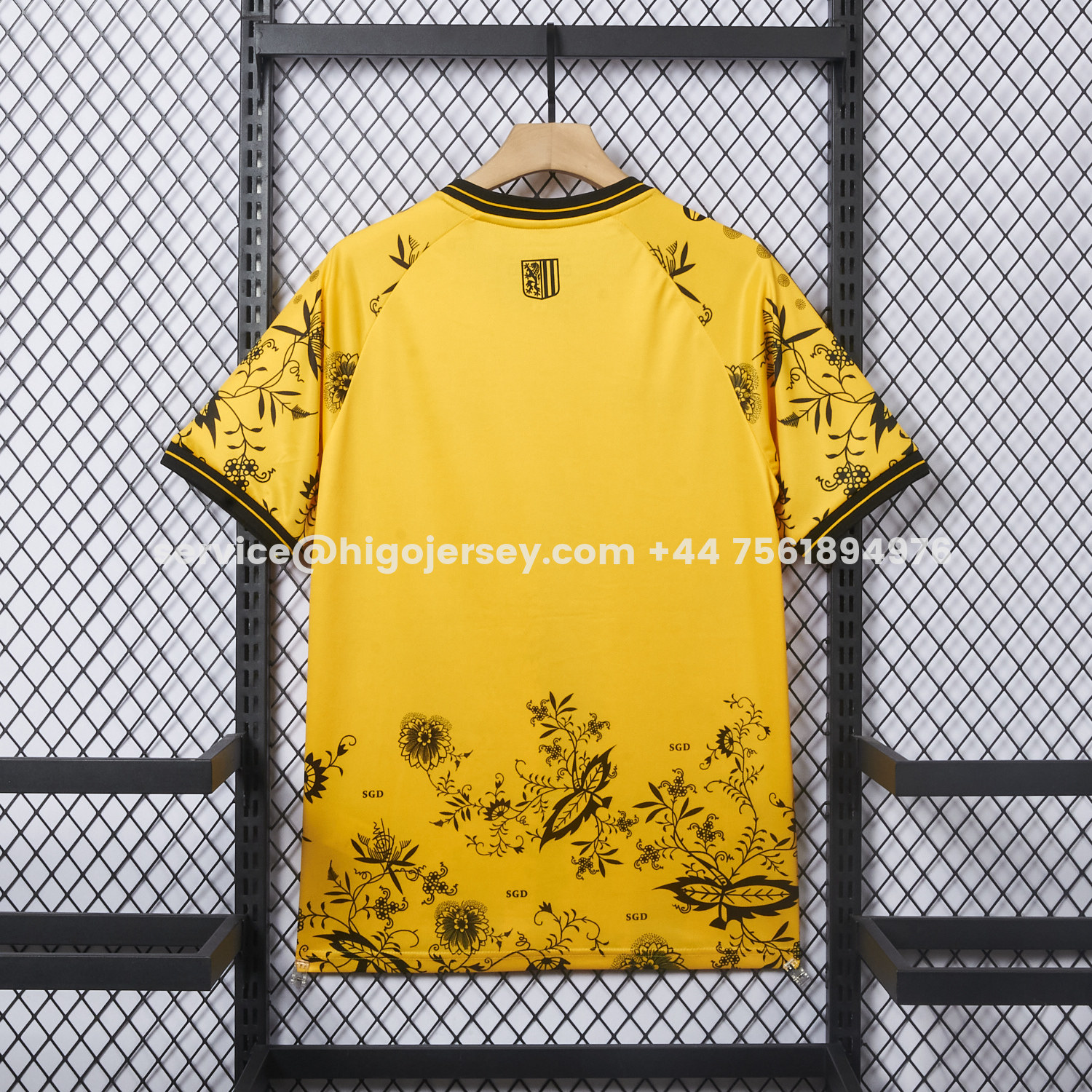 Higojerseys-Dynamo Dresden 25-26 HATE RACISM Special Jersey - Fans Version