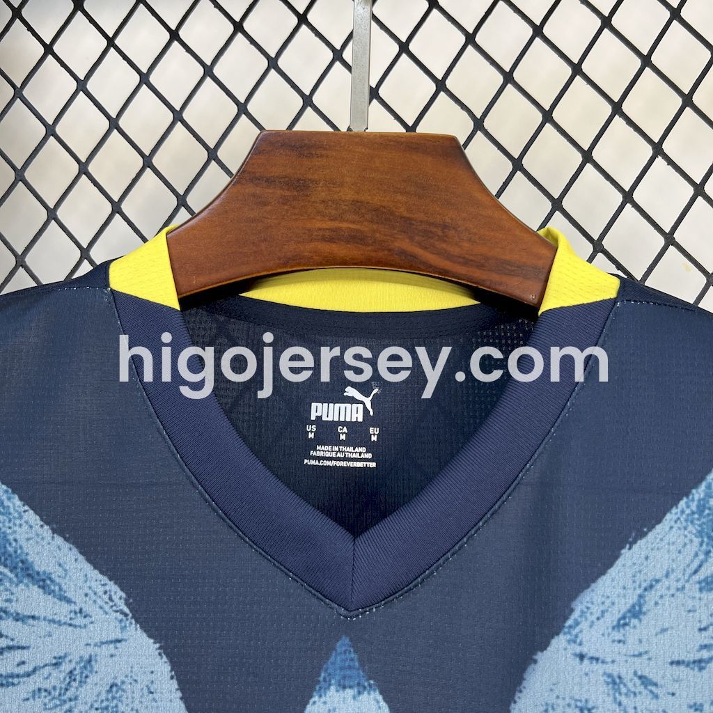 Higojerseys-Fenerbahce 24-25 Fourth Jersey - Fans Version