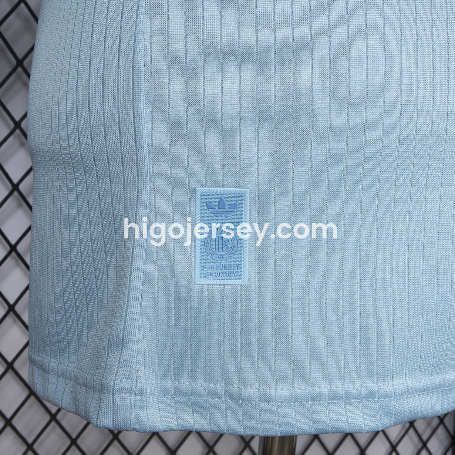 Higojerseys-Germany 2025 125-Year Anniversary GK Blue Long Sleeve Jersey - Player Version